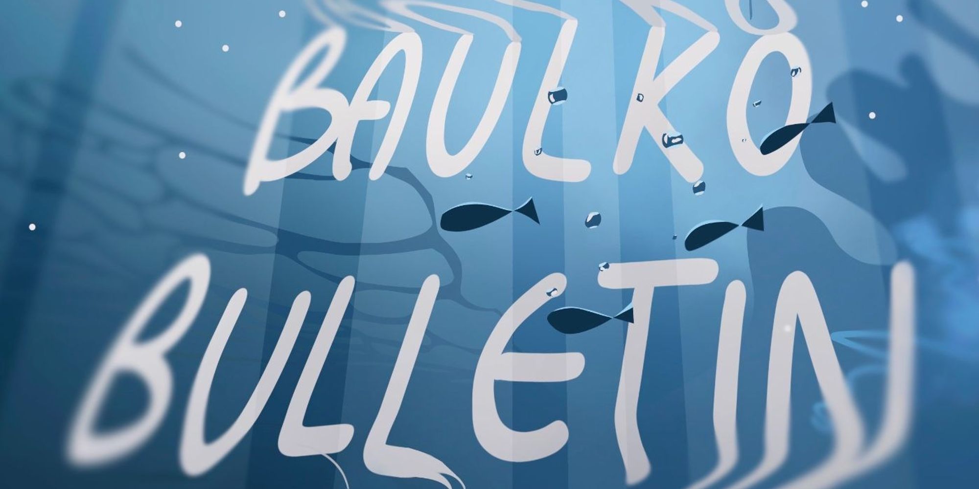 Words 'Baulko Bulletin' are written in water.