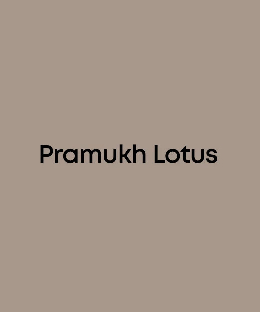 Pramukh Lotus