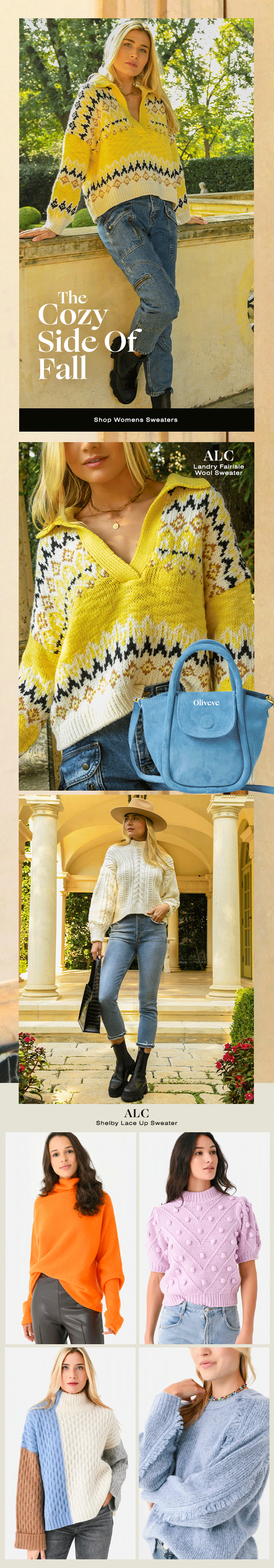 Cozy Up With Fall Saint Bernard