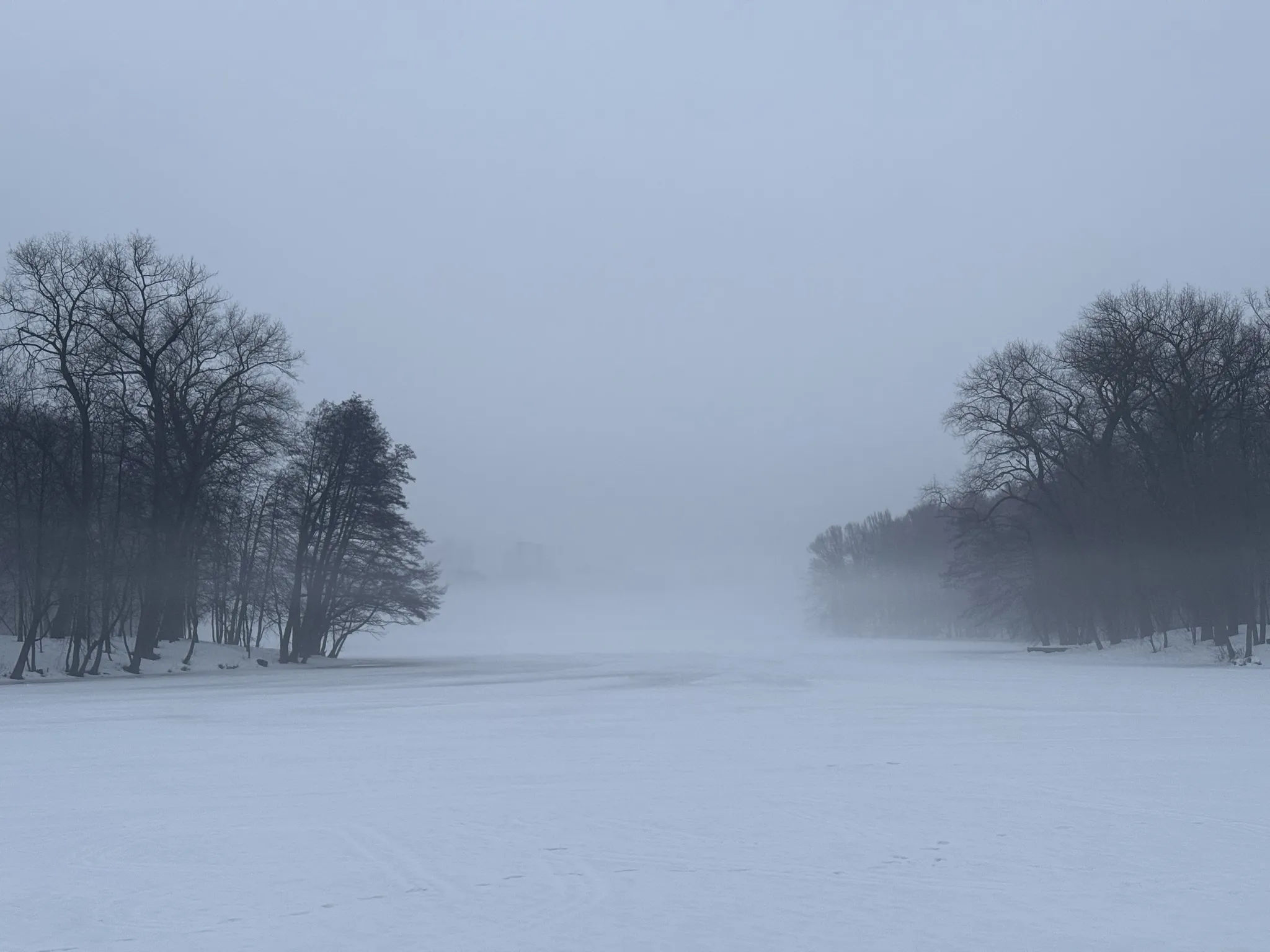 Туман над рекой