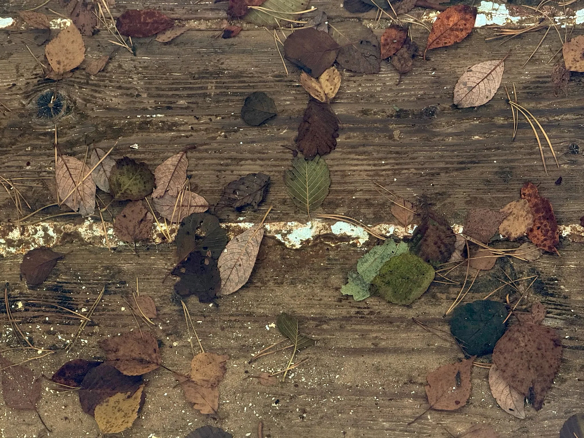 Путешествие к центру Европы