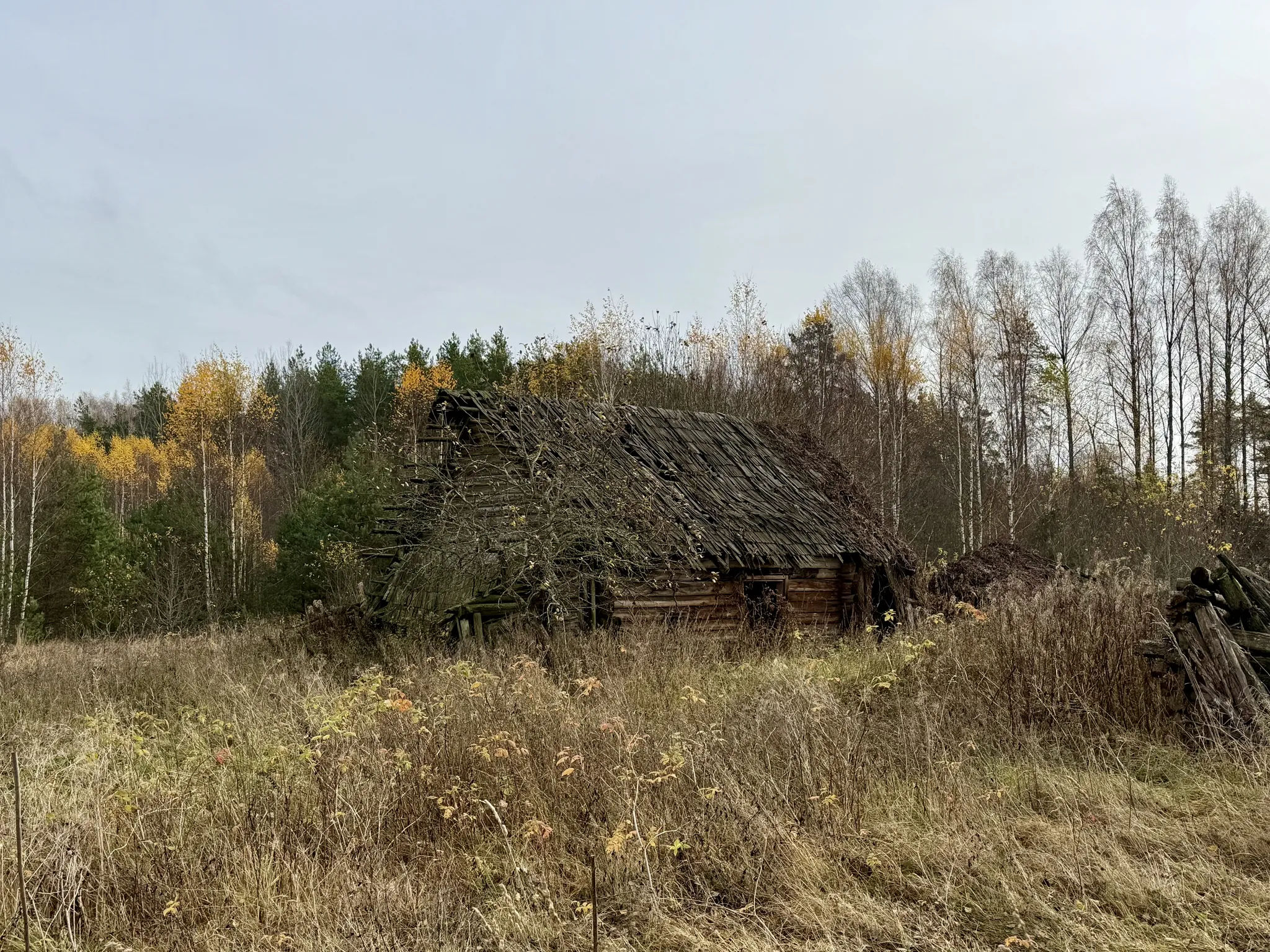 Разваливающийся дом