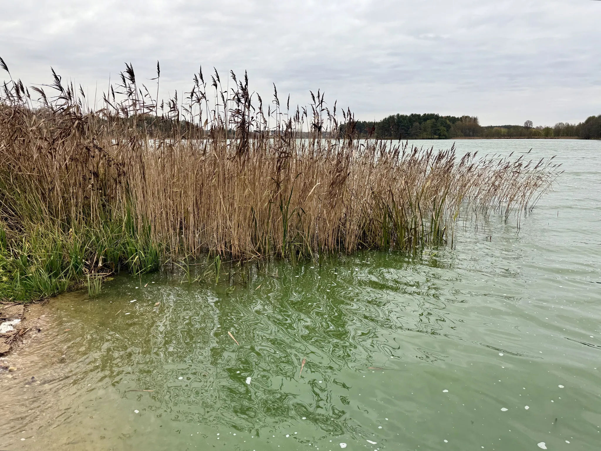 Озеро Алаизберг