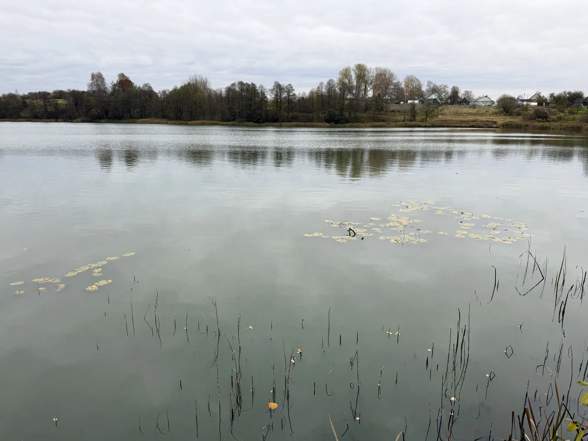 Белое озеро зеленого цвета