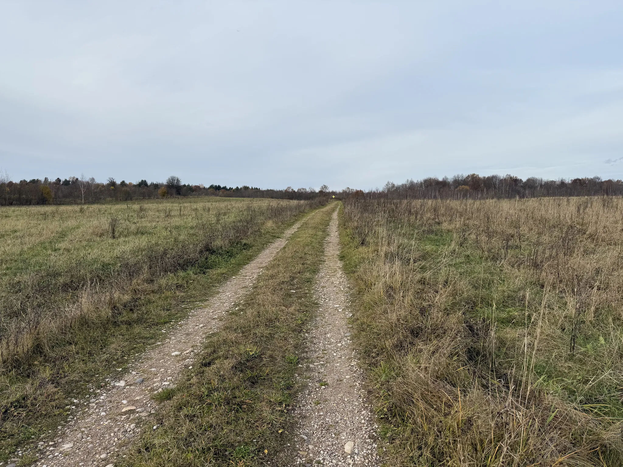 Дорога к озеру Долгое