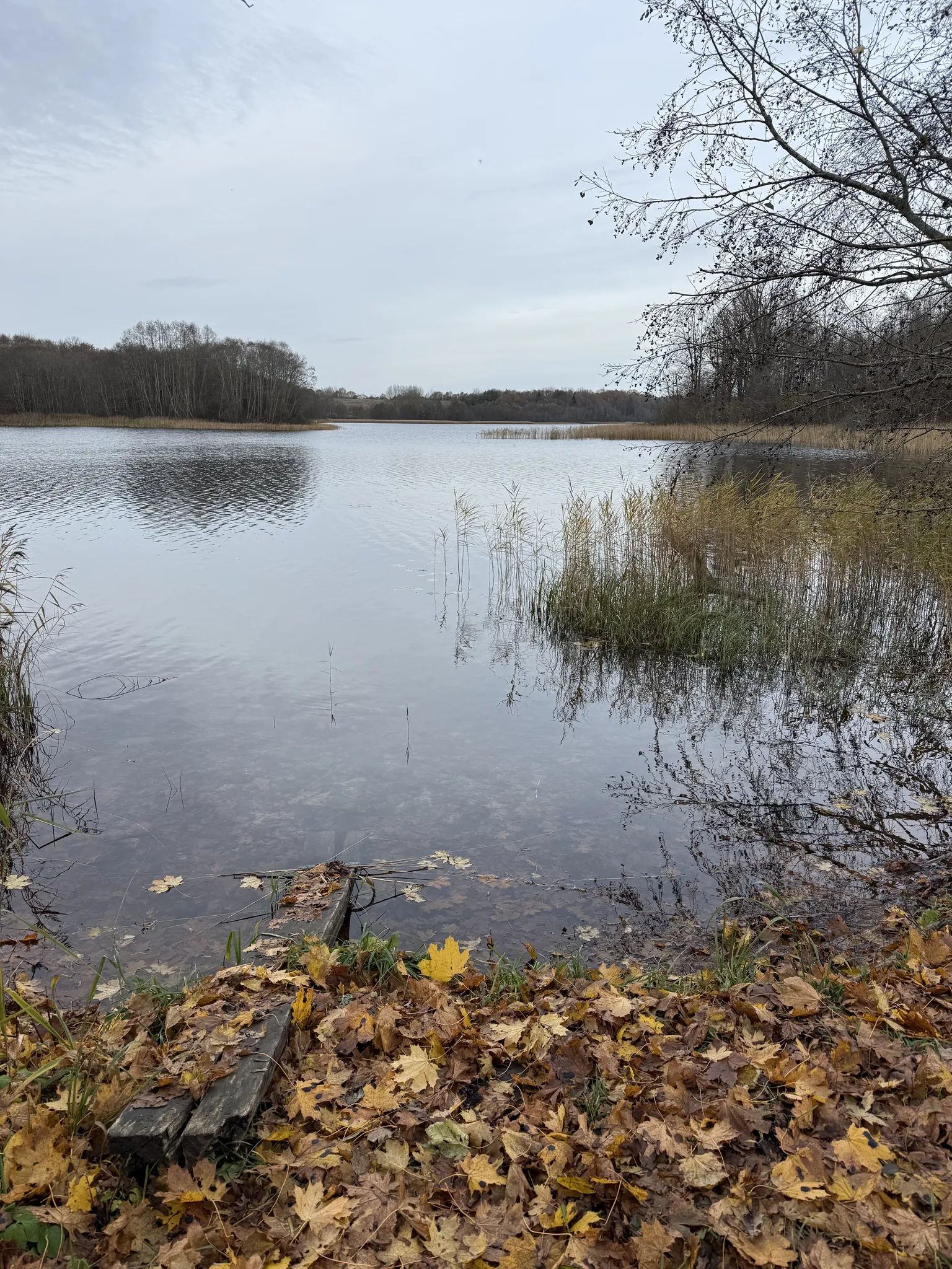 Озеро Долгое