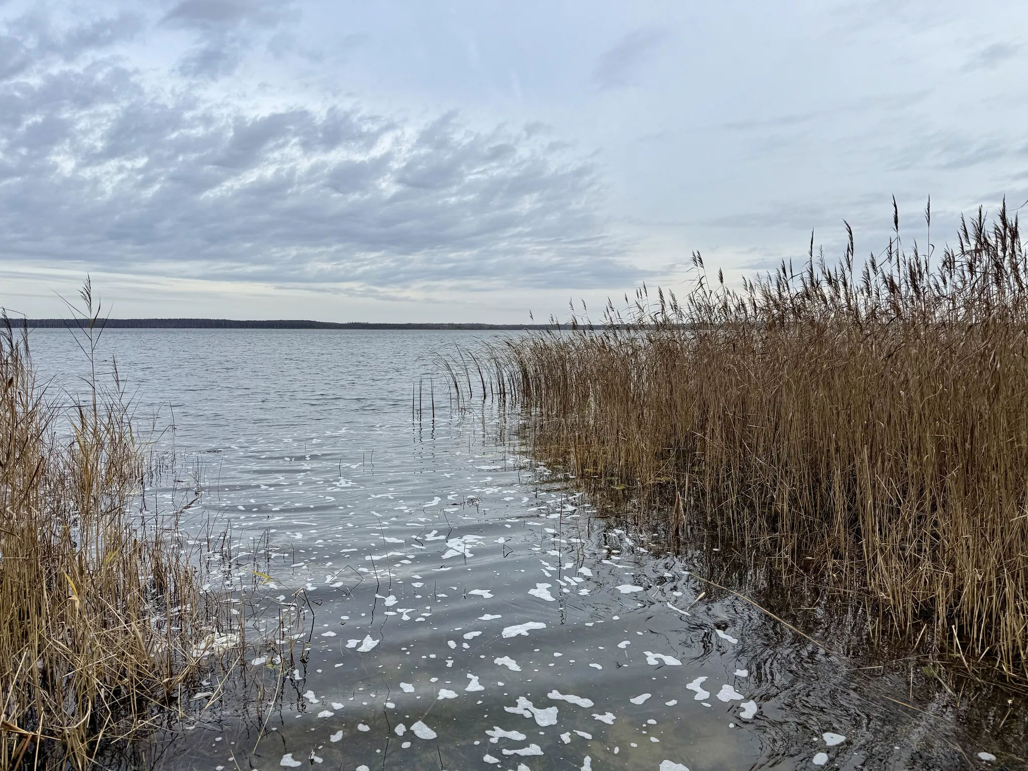 Берег озера Шо