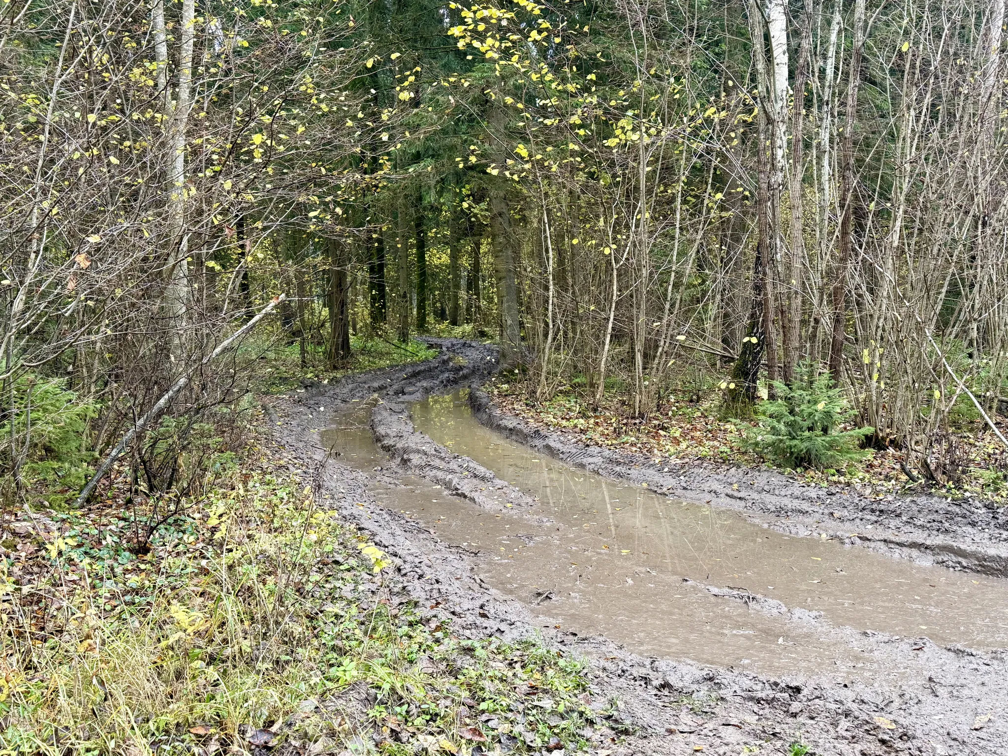 Грязевой поворот