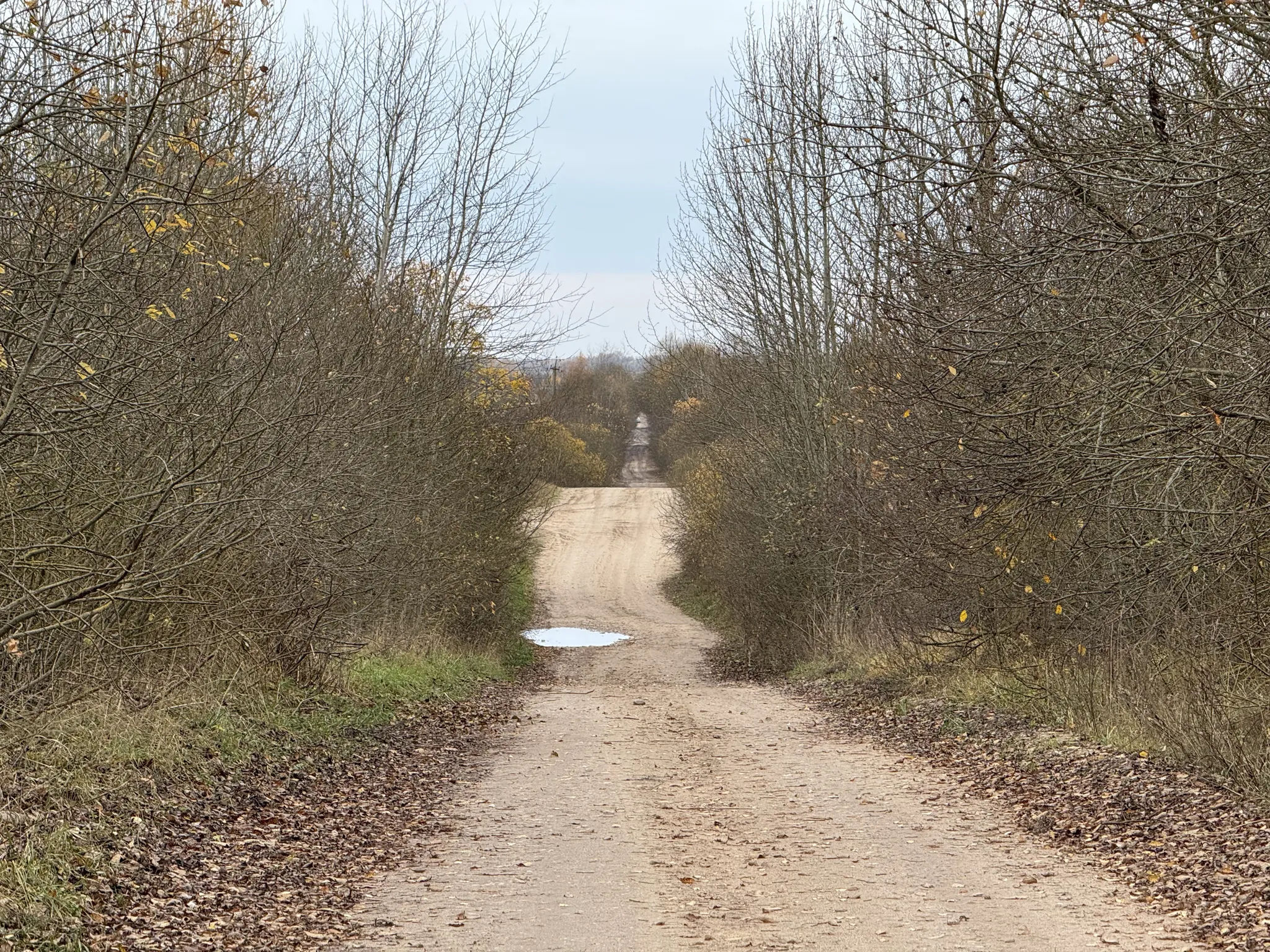 Дорога к Подсвилью