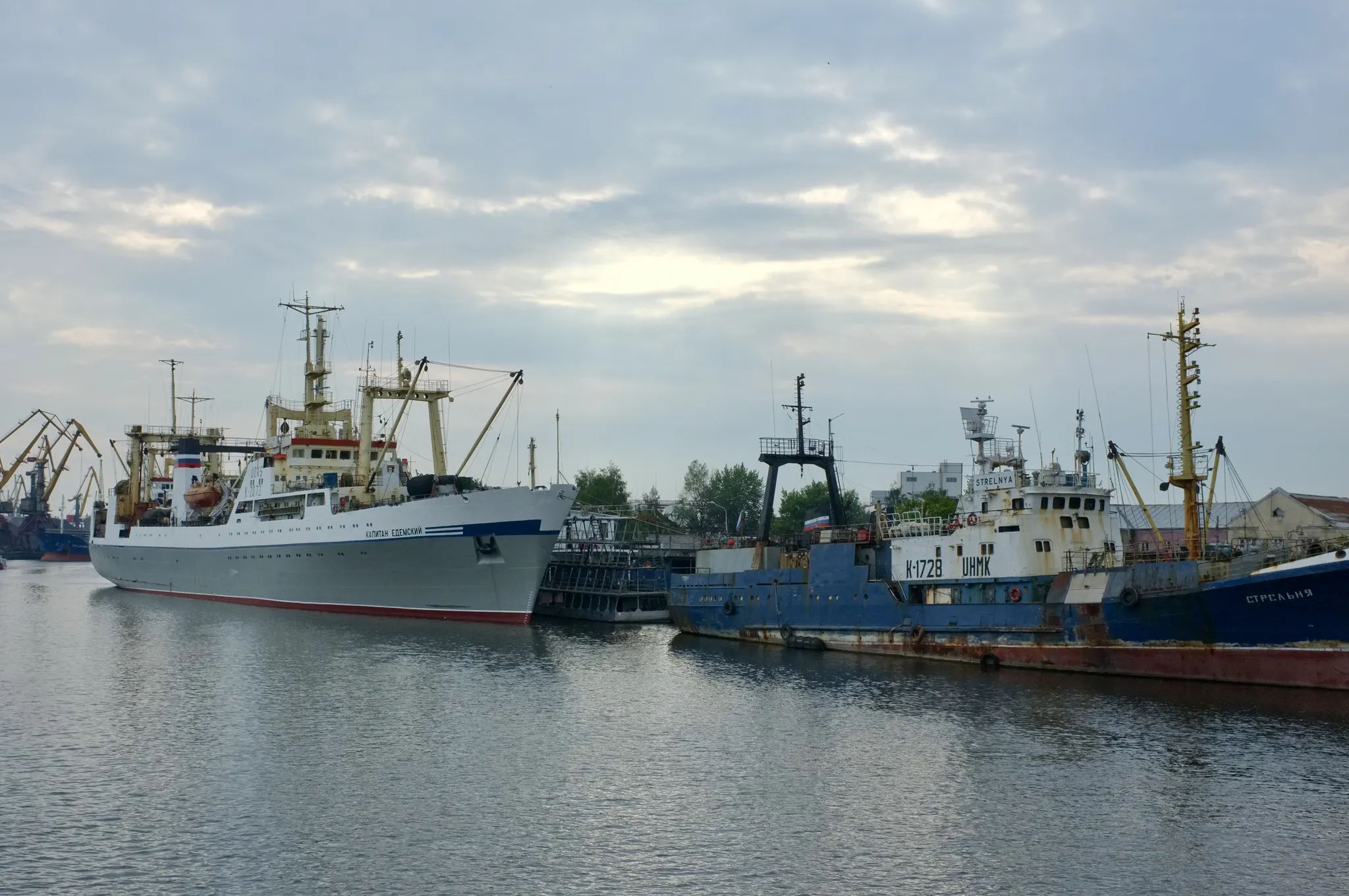 Капитан Едемский