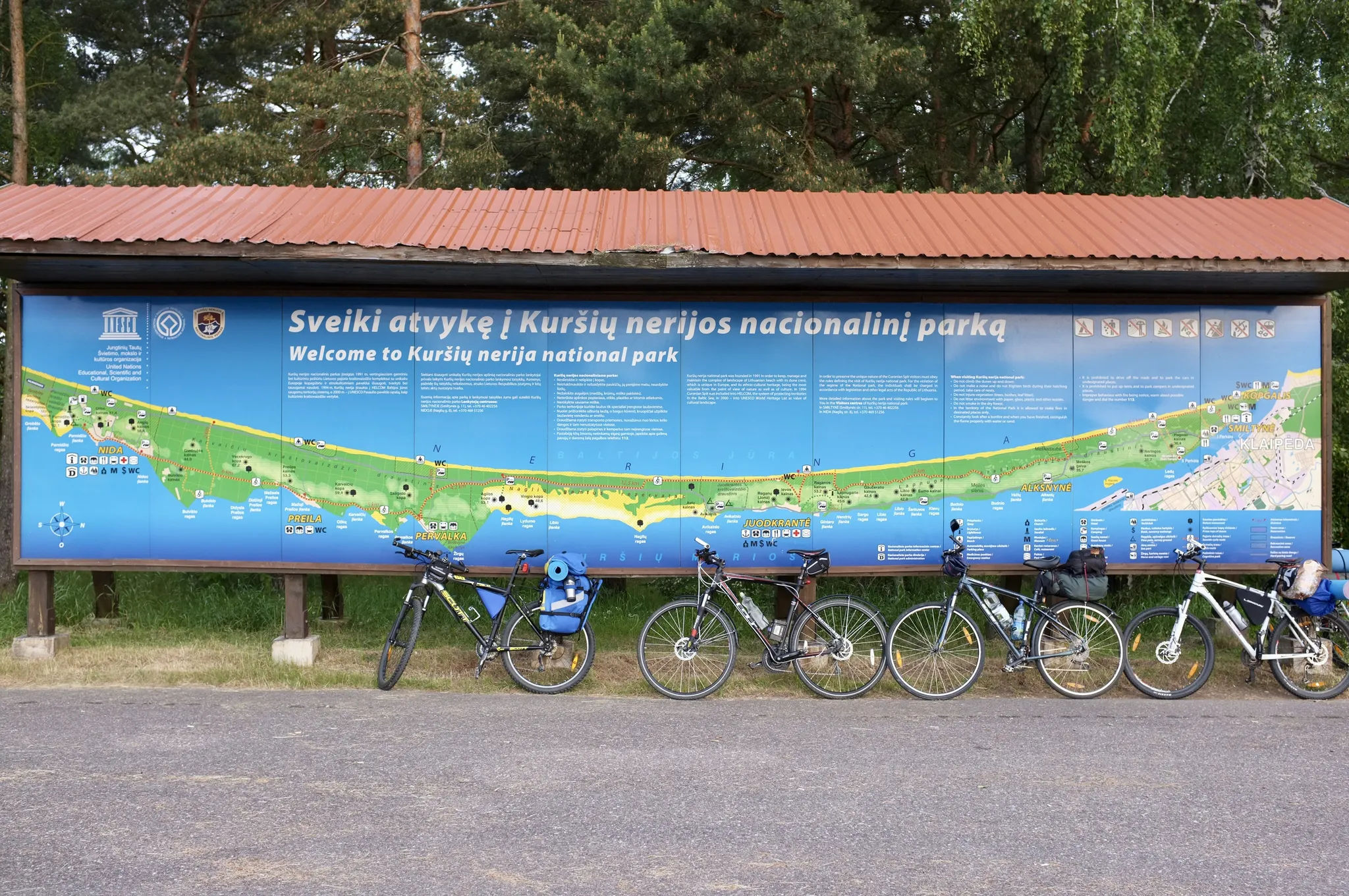 Карта Куршской косы