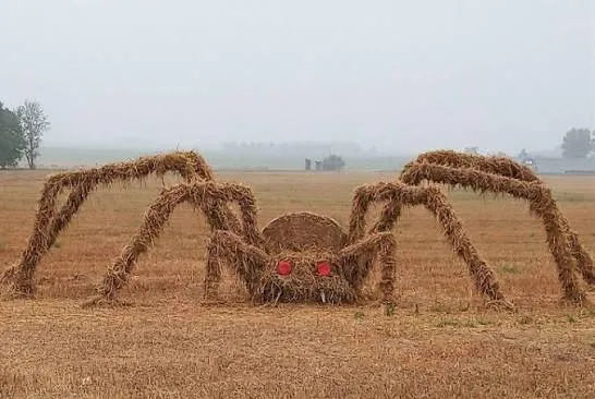 Паук из соломы