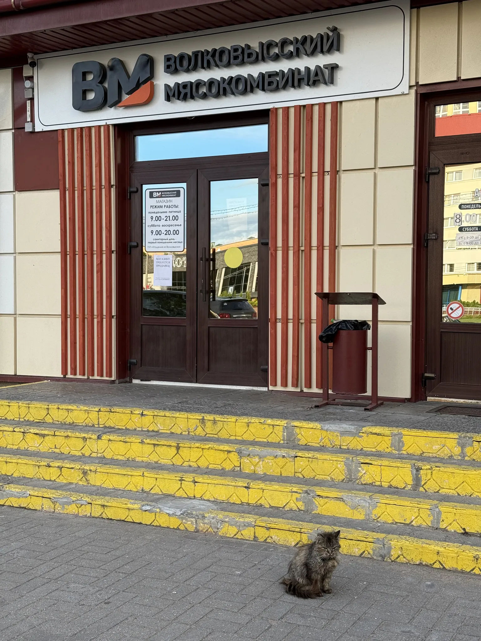 Кот возле мясной лавки