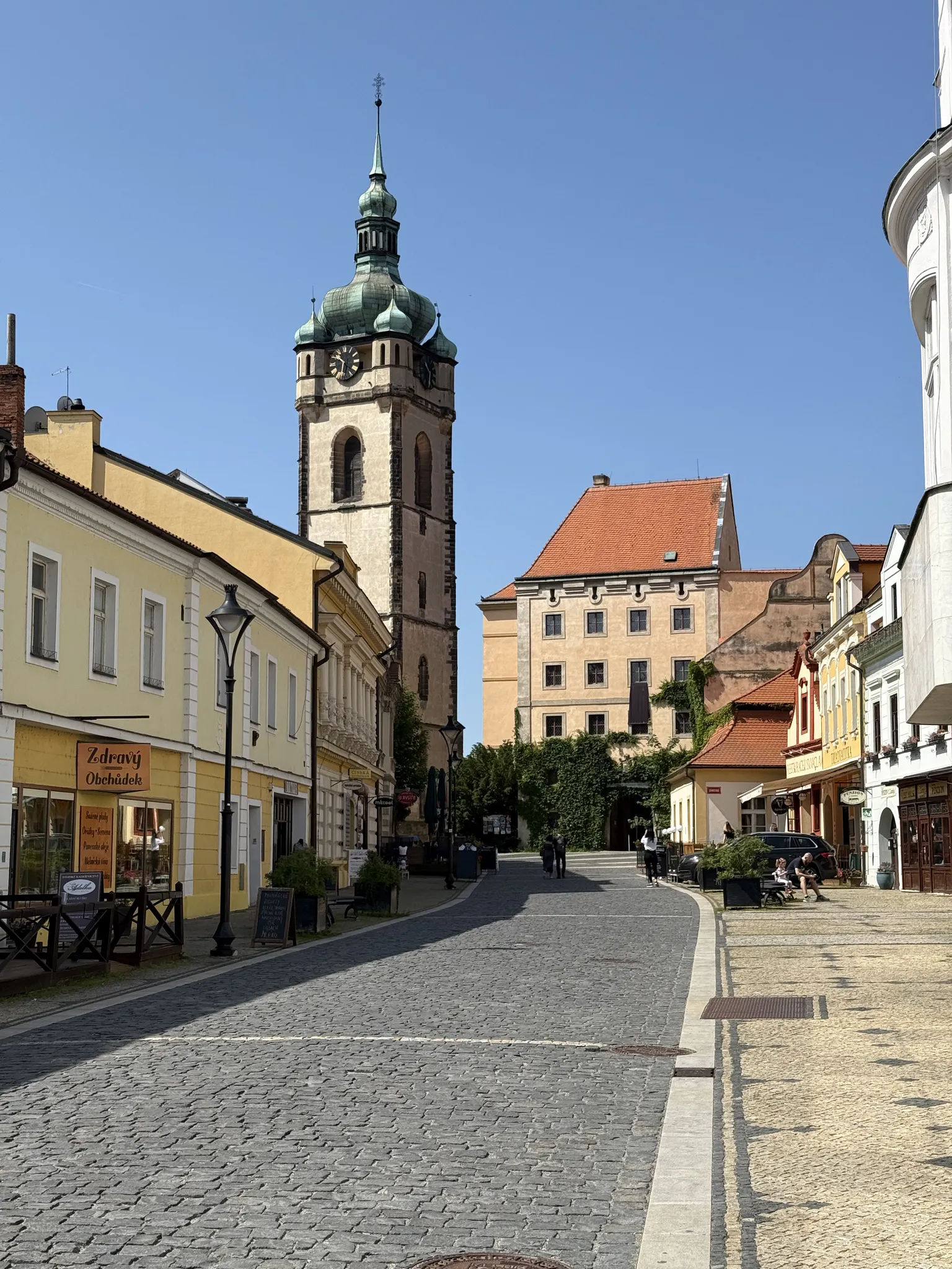 Город Мельник