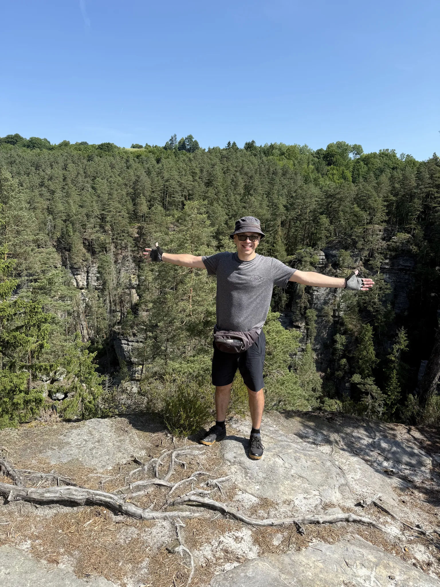 Вид на Чешскую Швейцарию со смотровой площадки