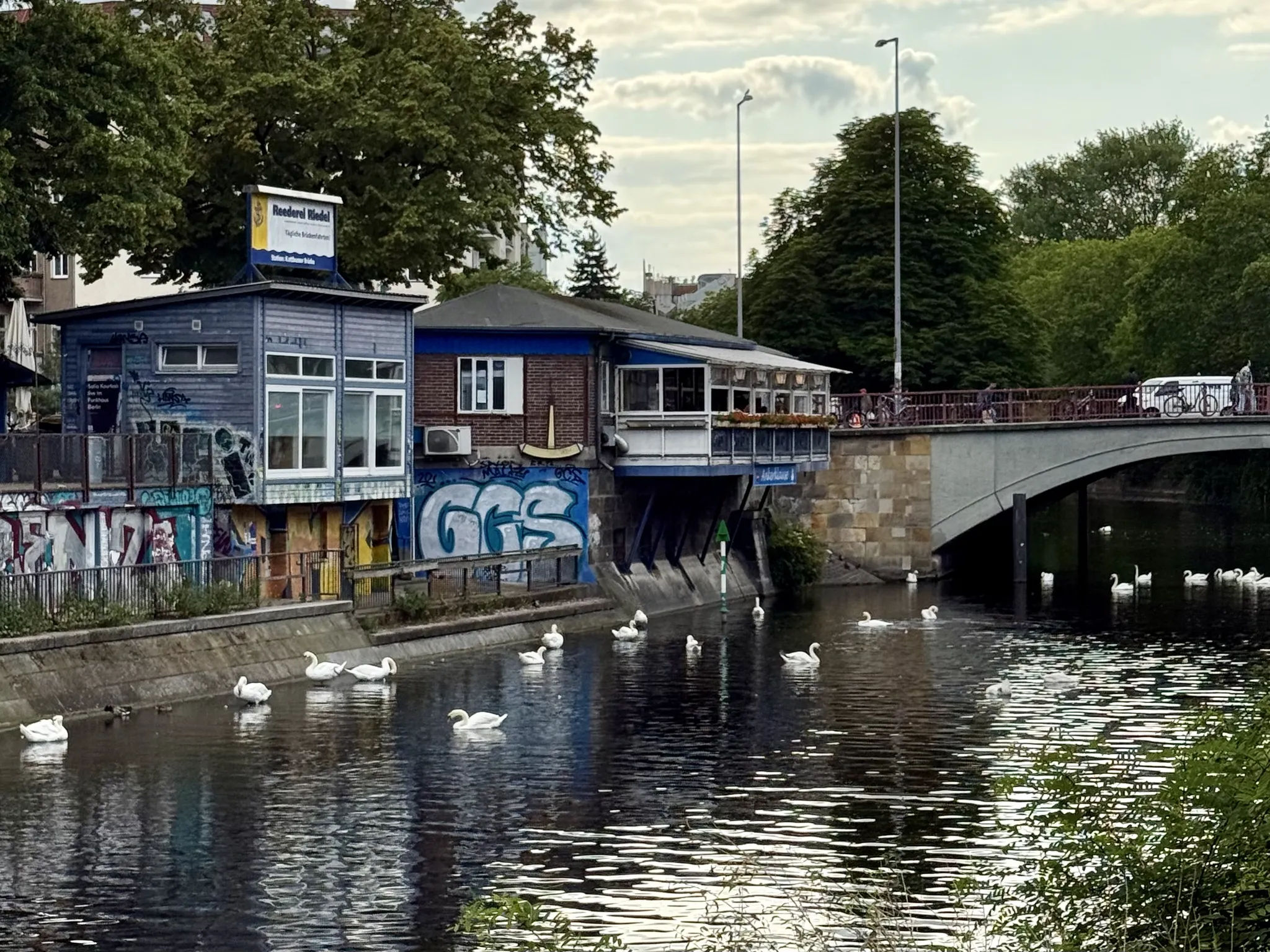 Лебеди на канале в Берлине