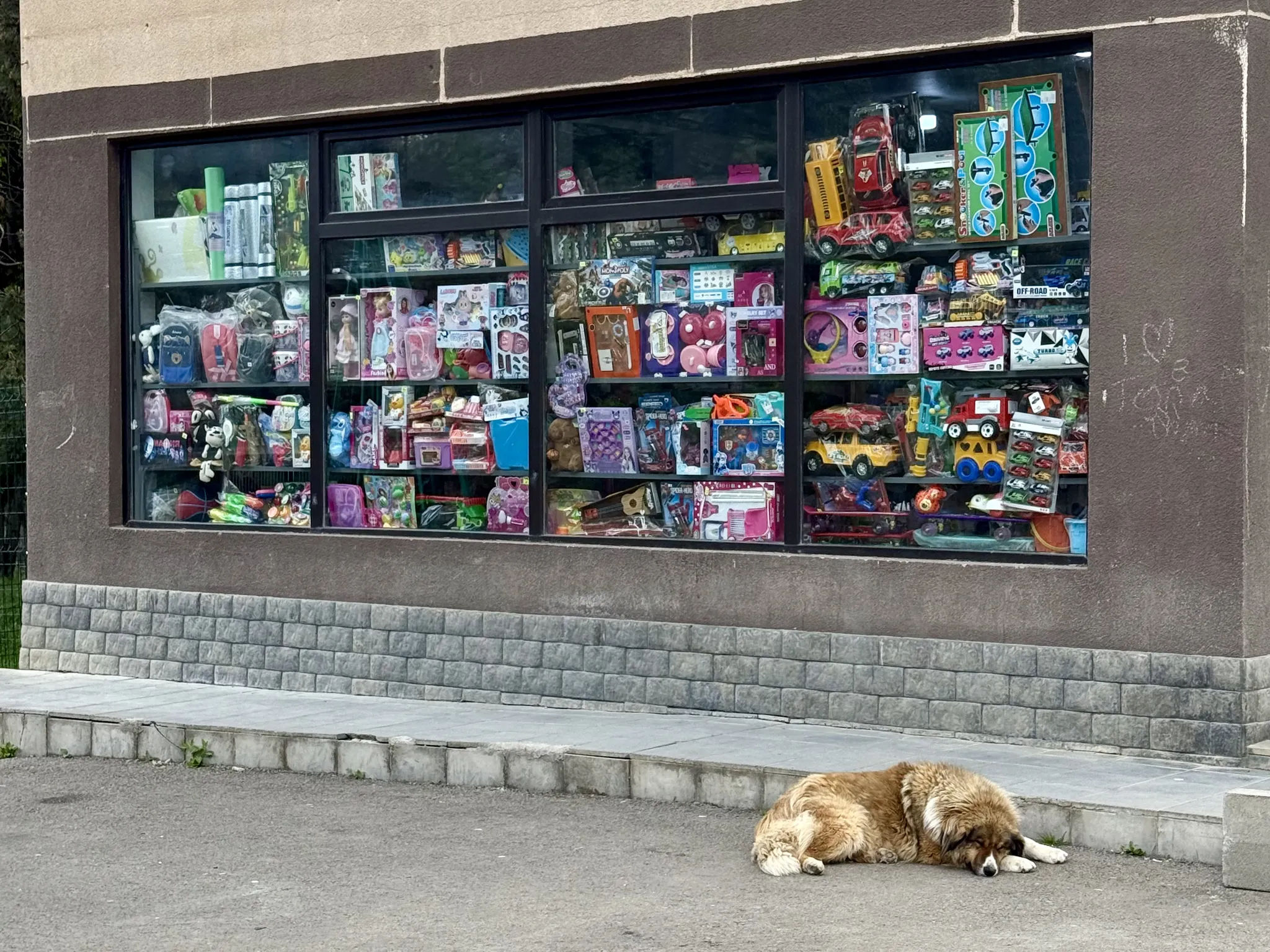Собака под магазином