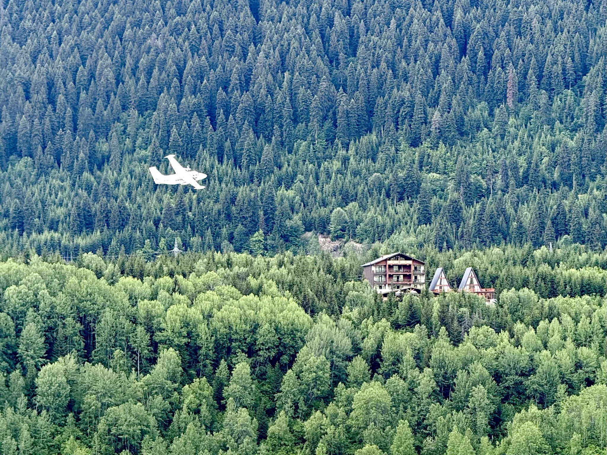 Самолет на фоне леса