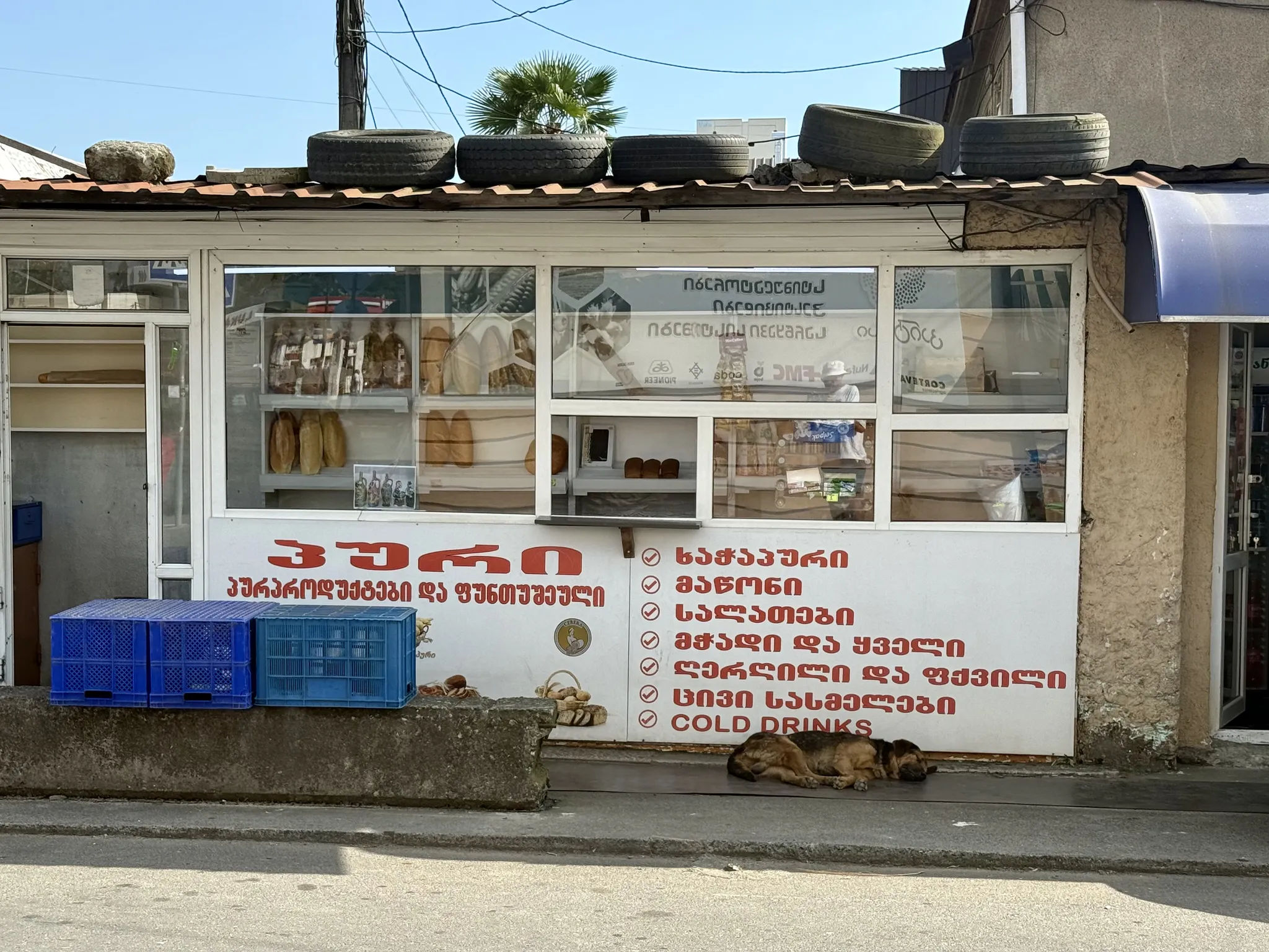 Собака спит у хлебного ларька