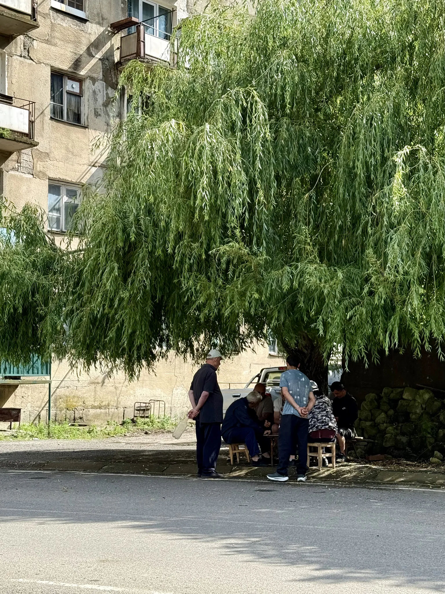 Игра в домино в тени дерева