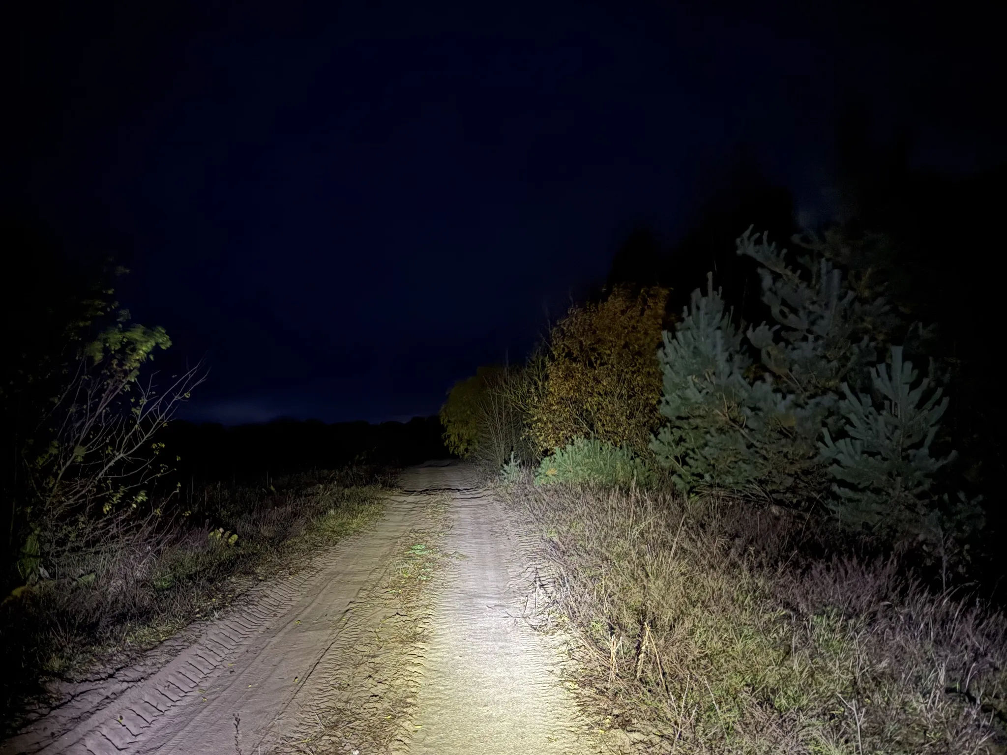 Ночная дорога