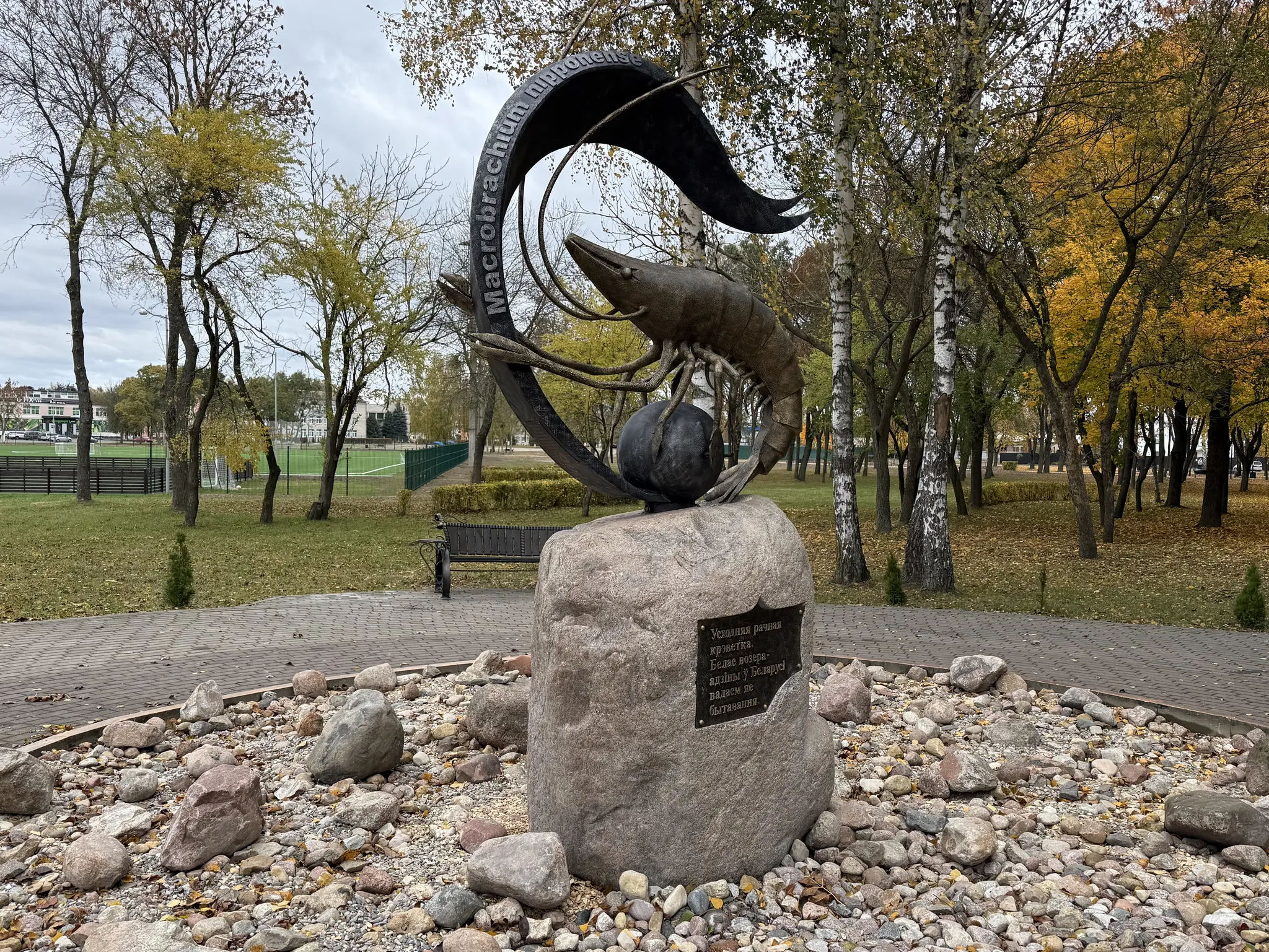 Памятник креветке вид сбоку