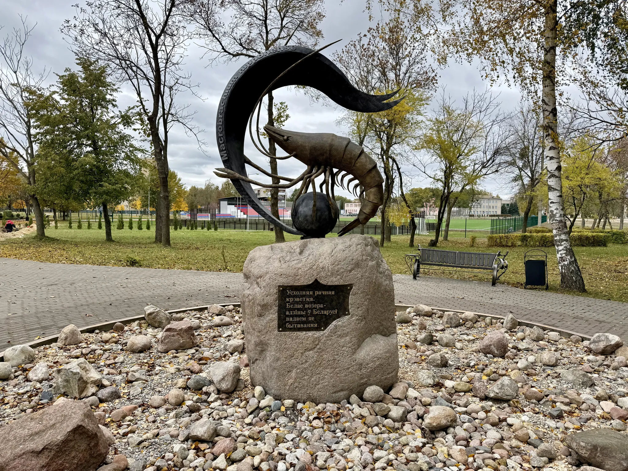 Креветочная