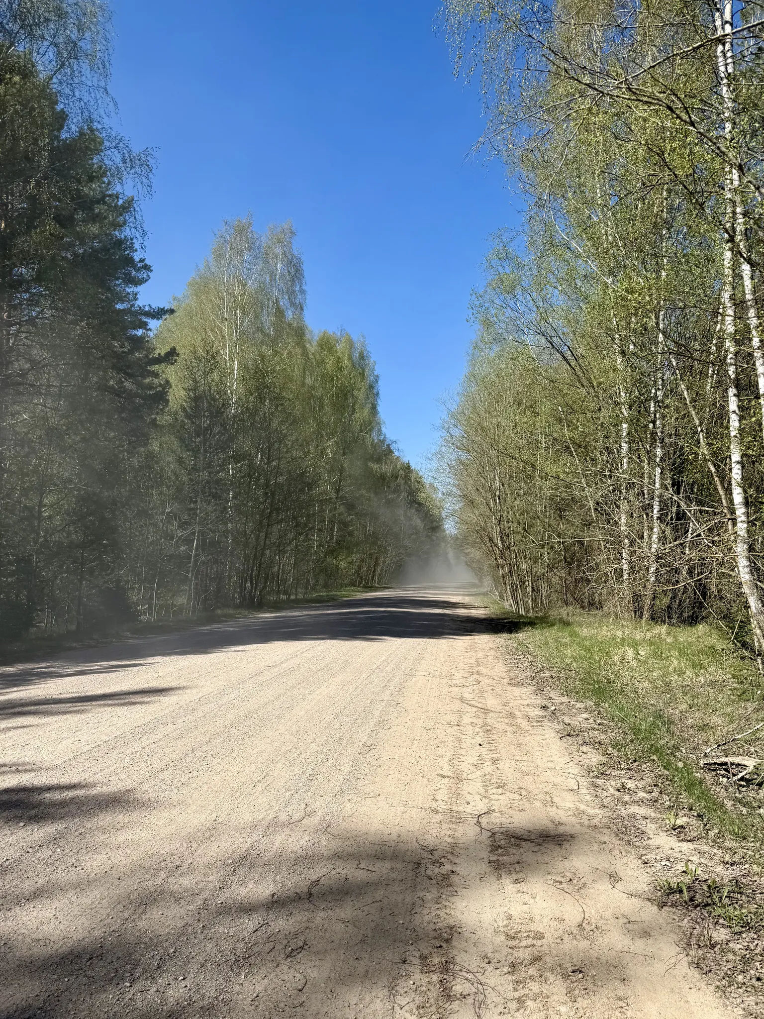 Гравейка на Дисну