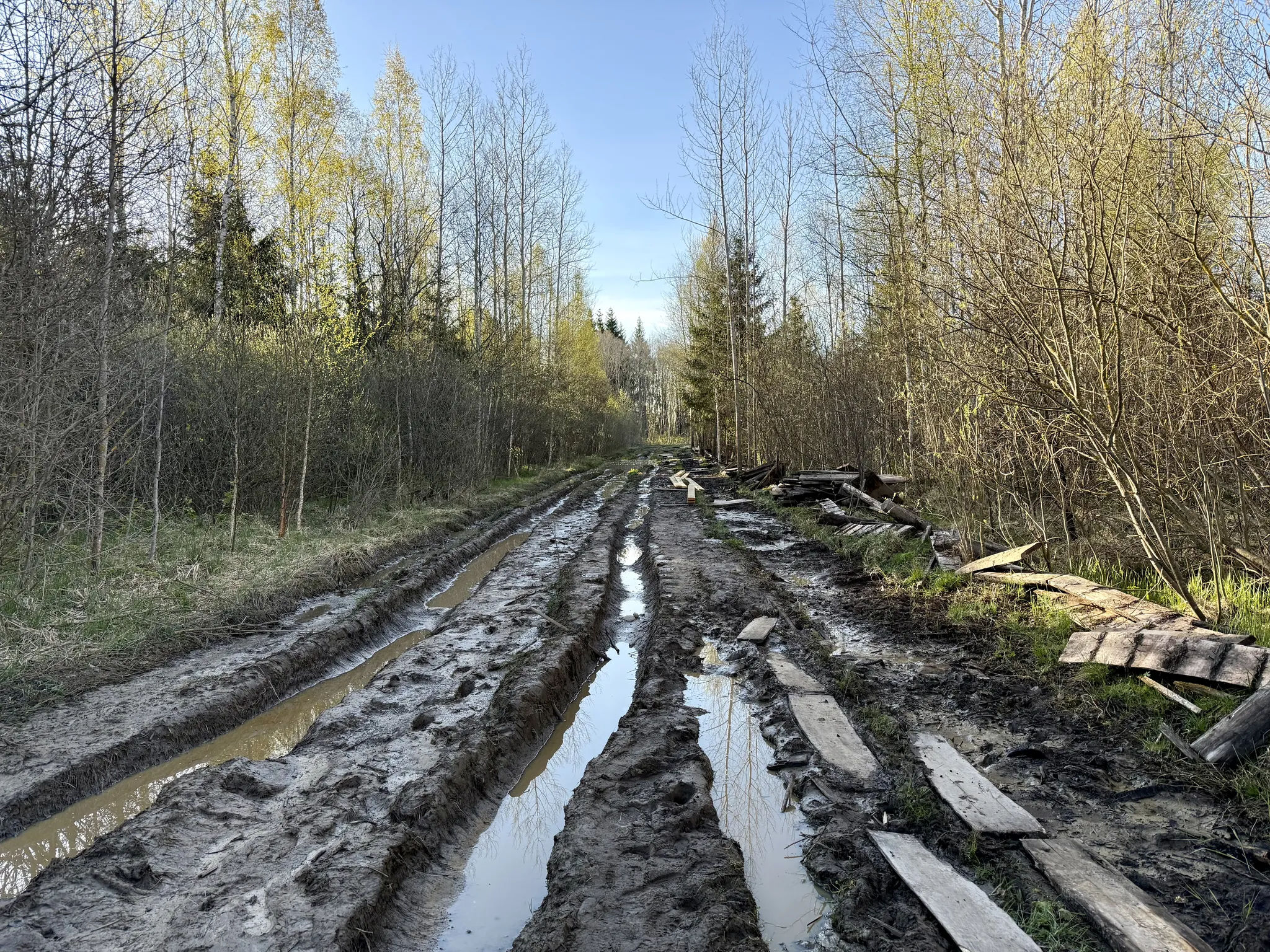 Экотропа без деревянного настила