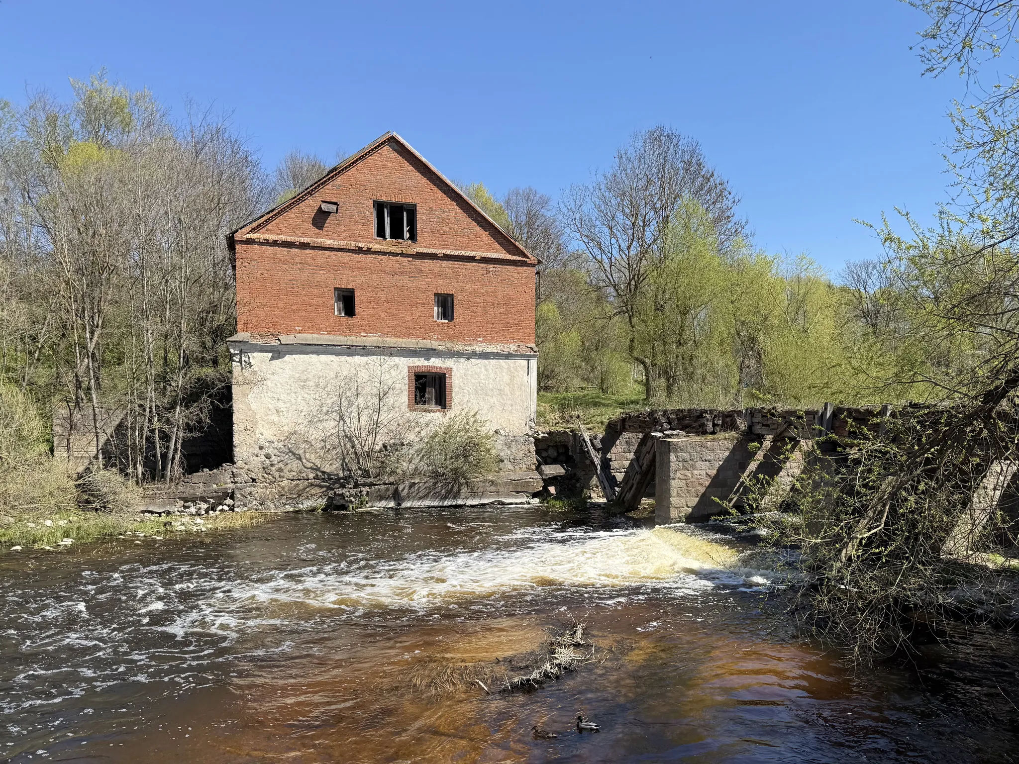 Водяная мельница в Лужках