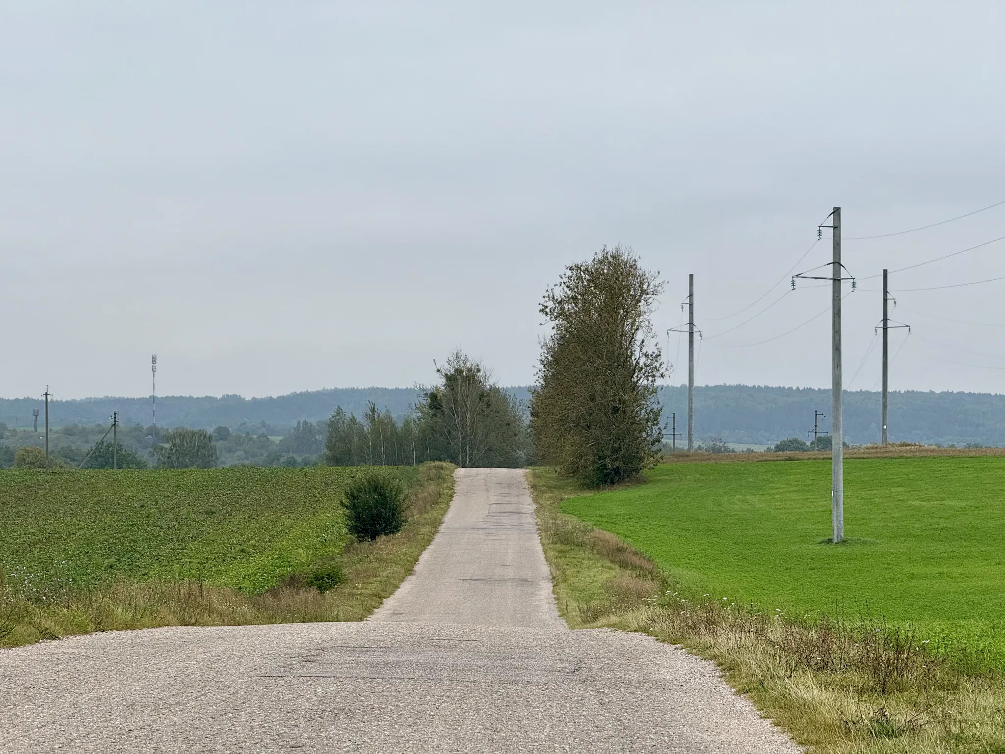 Горки под Гродно