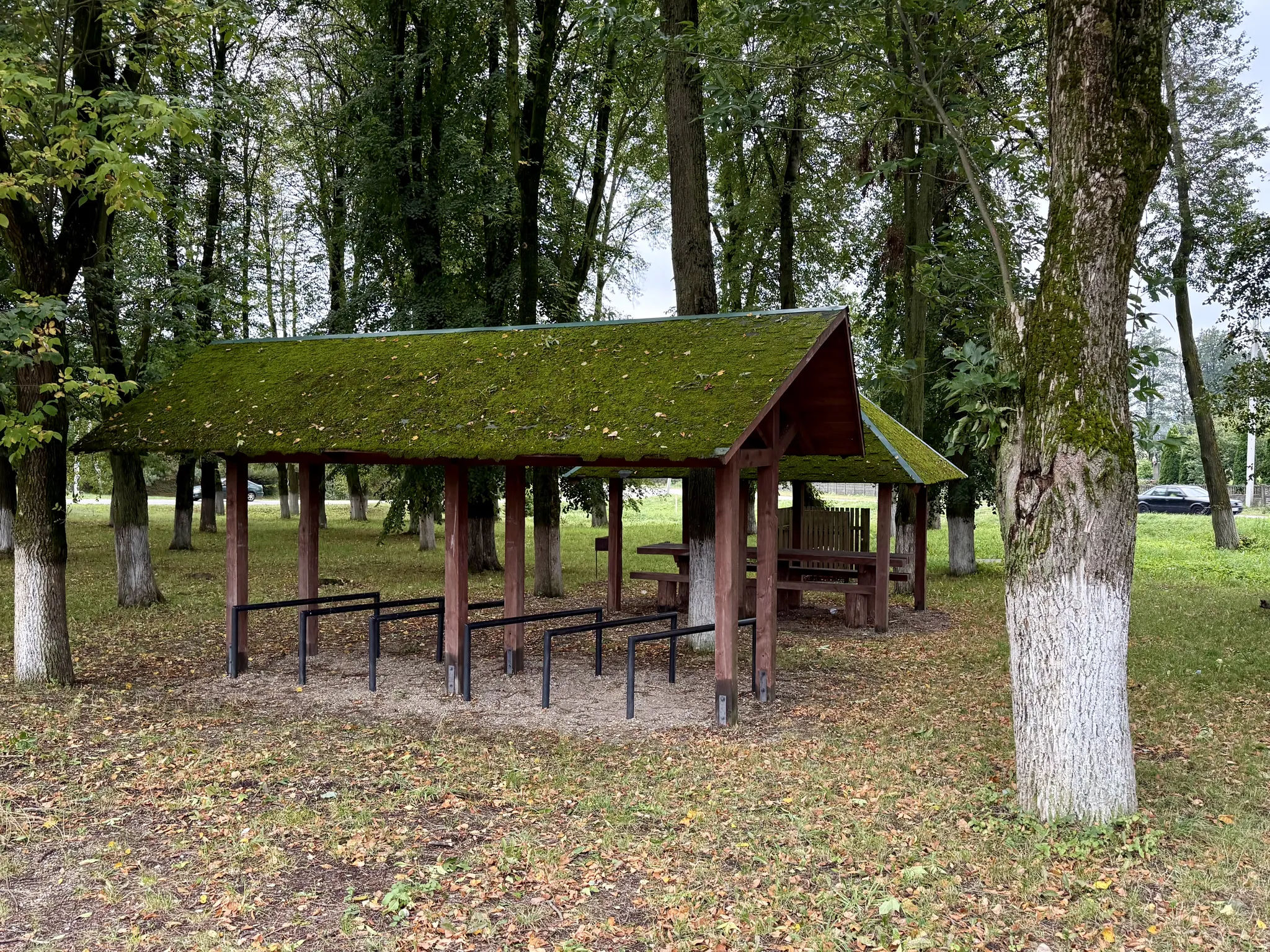 Велопарковка в Заречанке