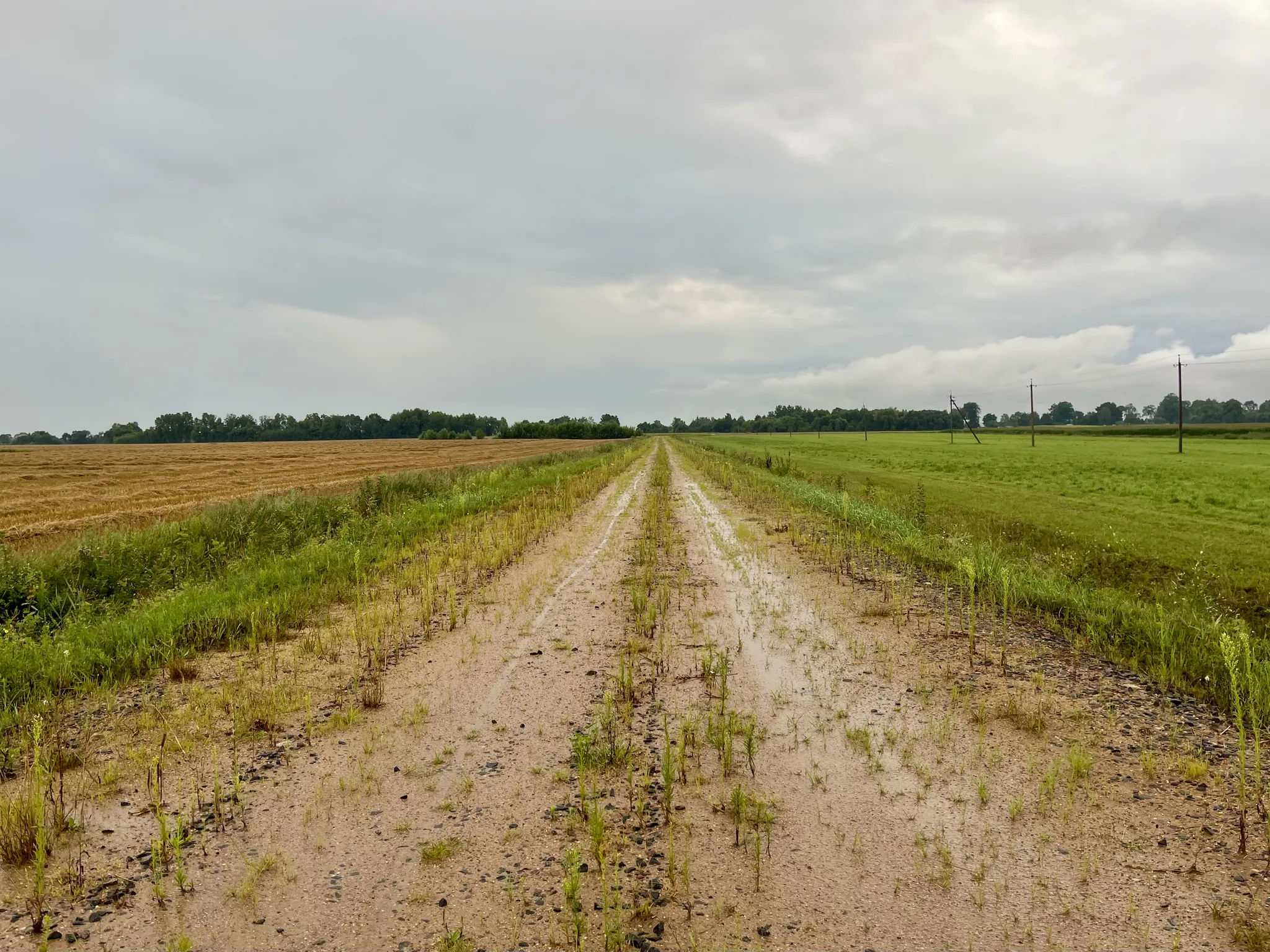 Грунтовая дорога в дождь