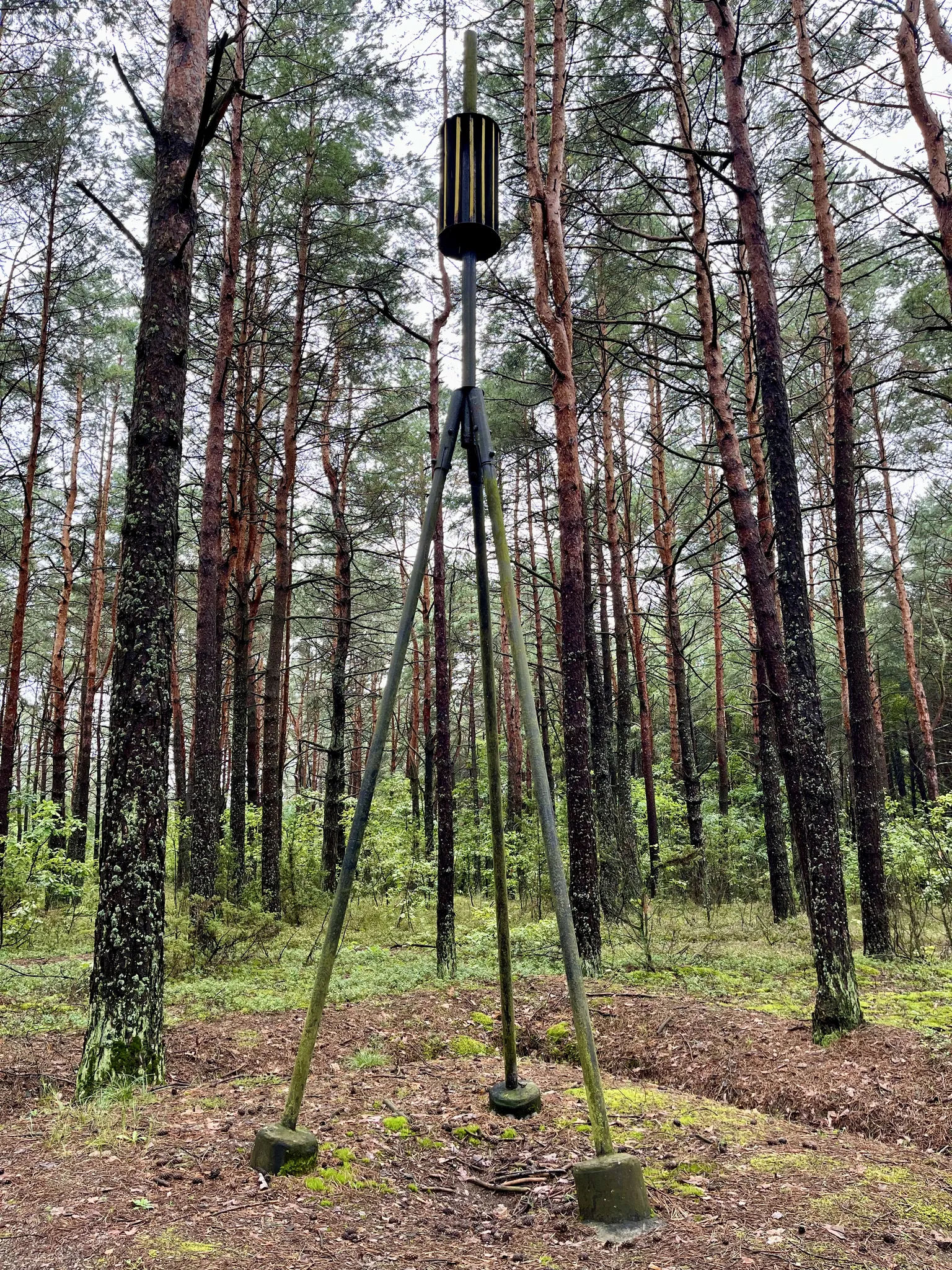 Дуга Струве