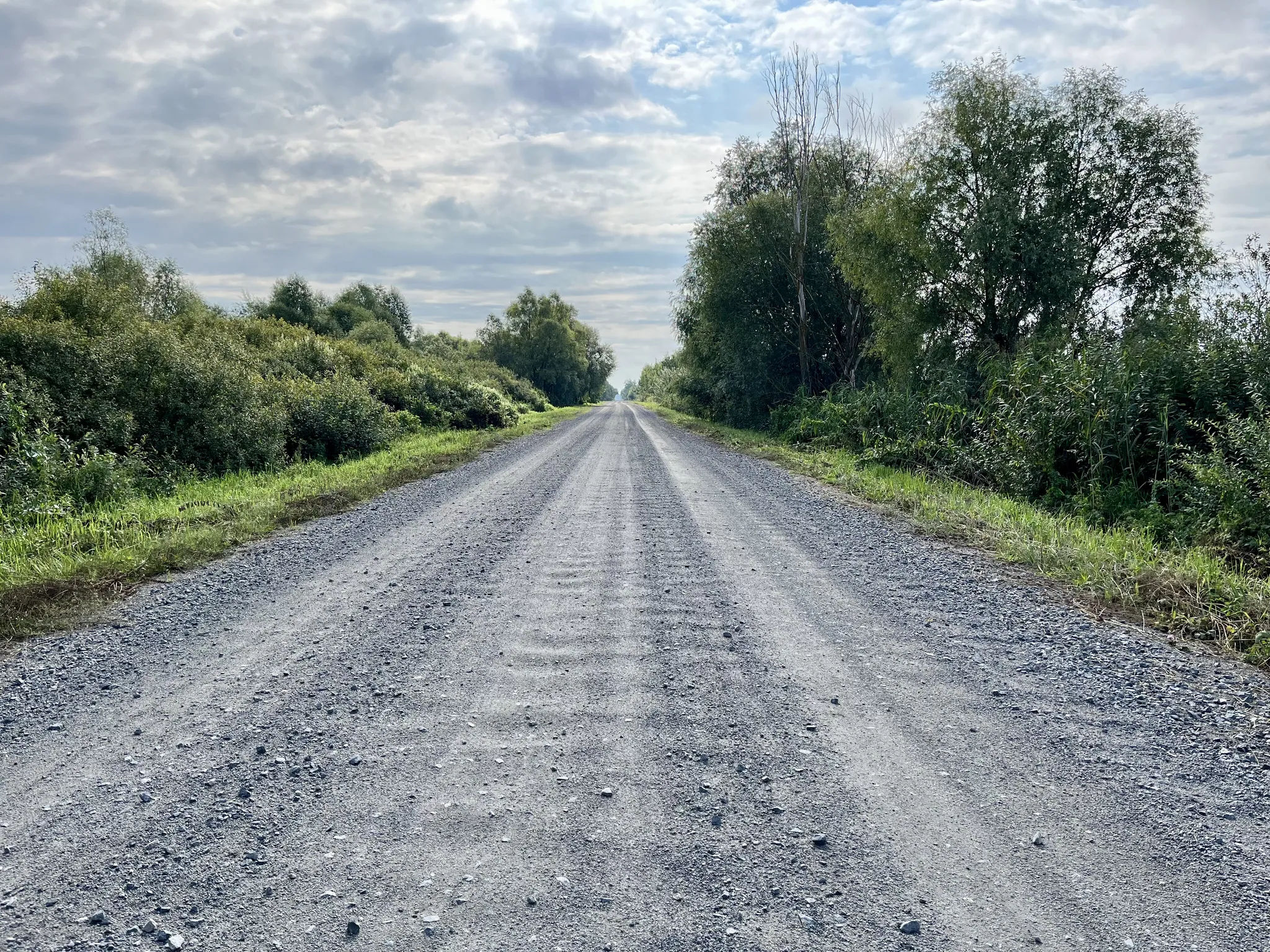 Гравейка на Полесье