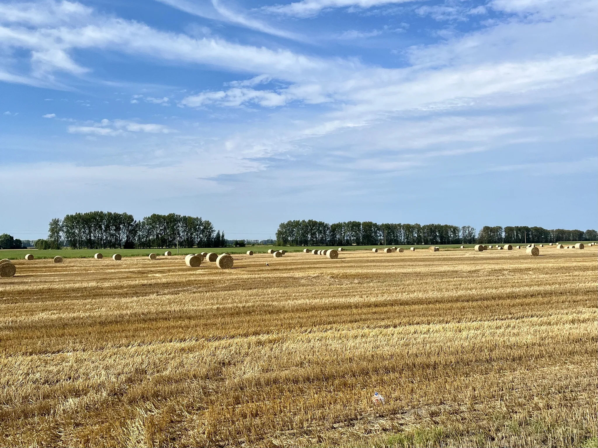 Поле со стогами