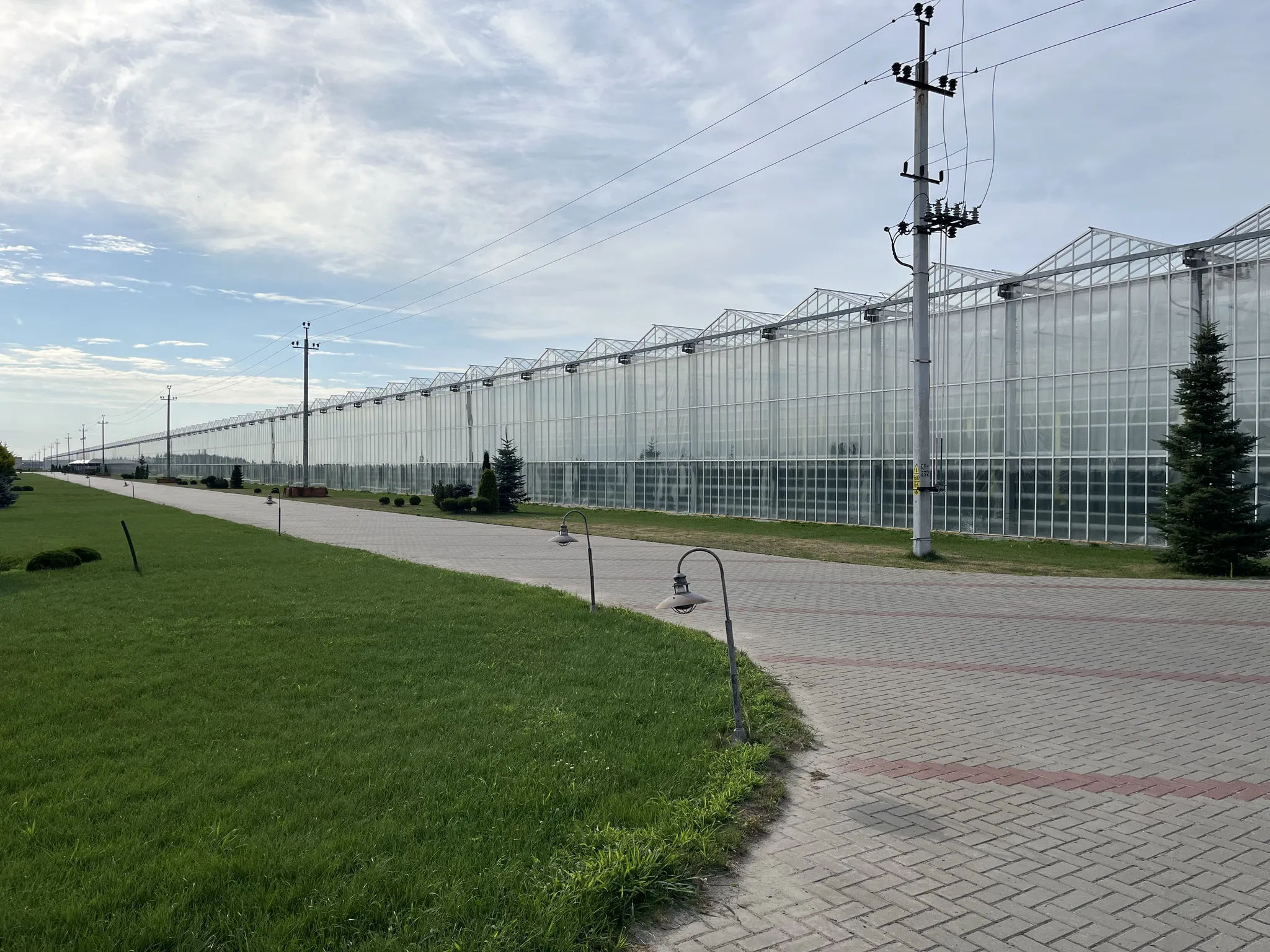 Огромные теплицы на выезде из Ольшан