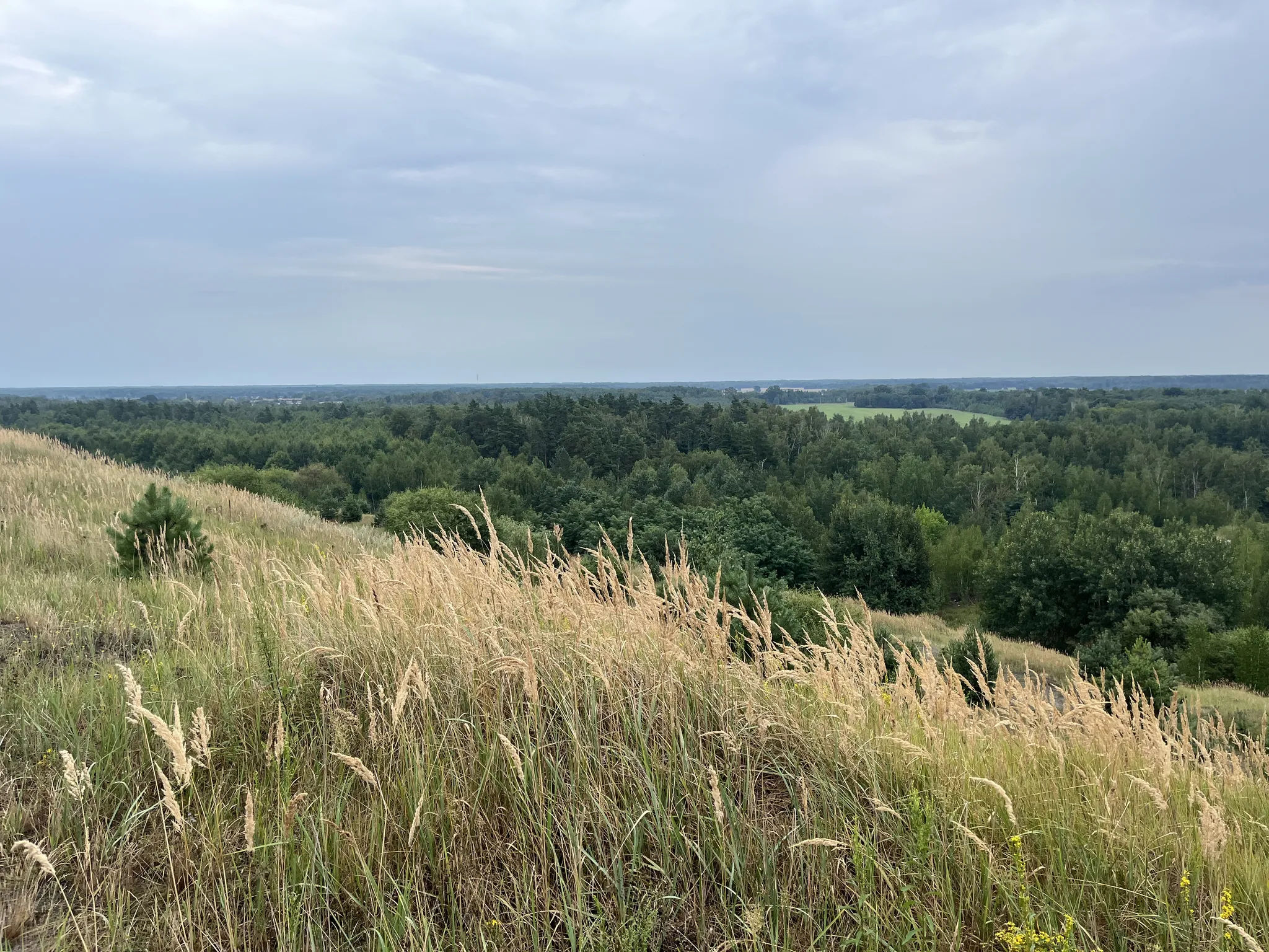 Вид с насыпи возле карьера