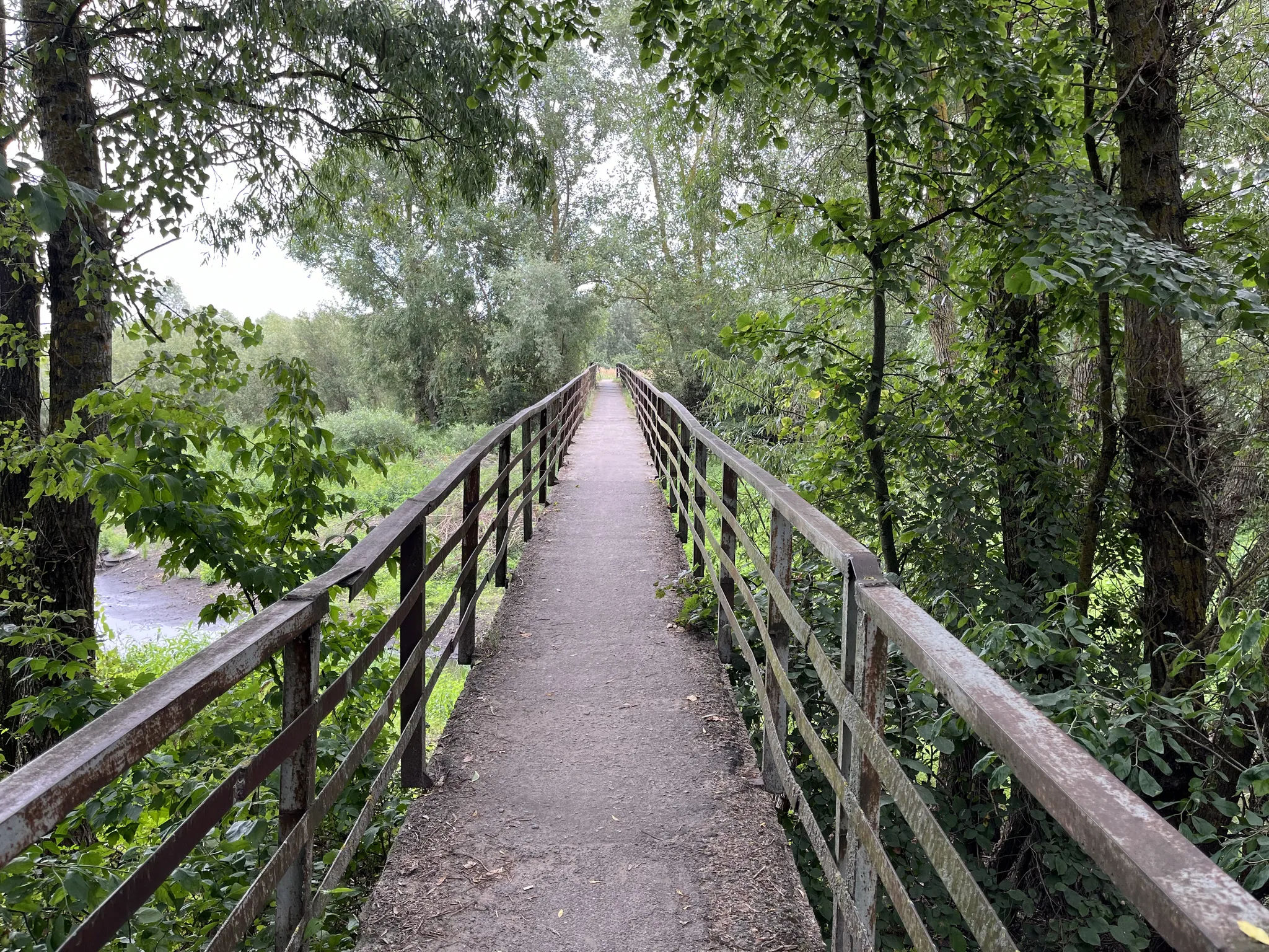 Пешеходный мост в Турове