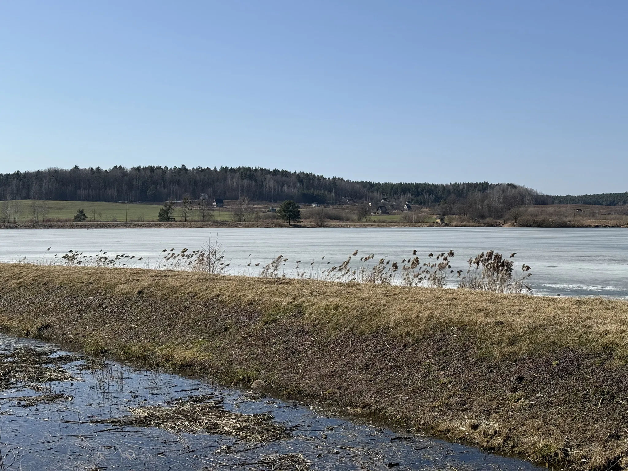 Замерзшее озеро и камыш