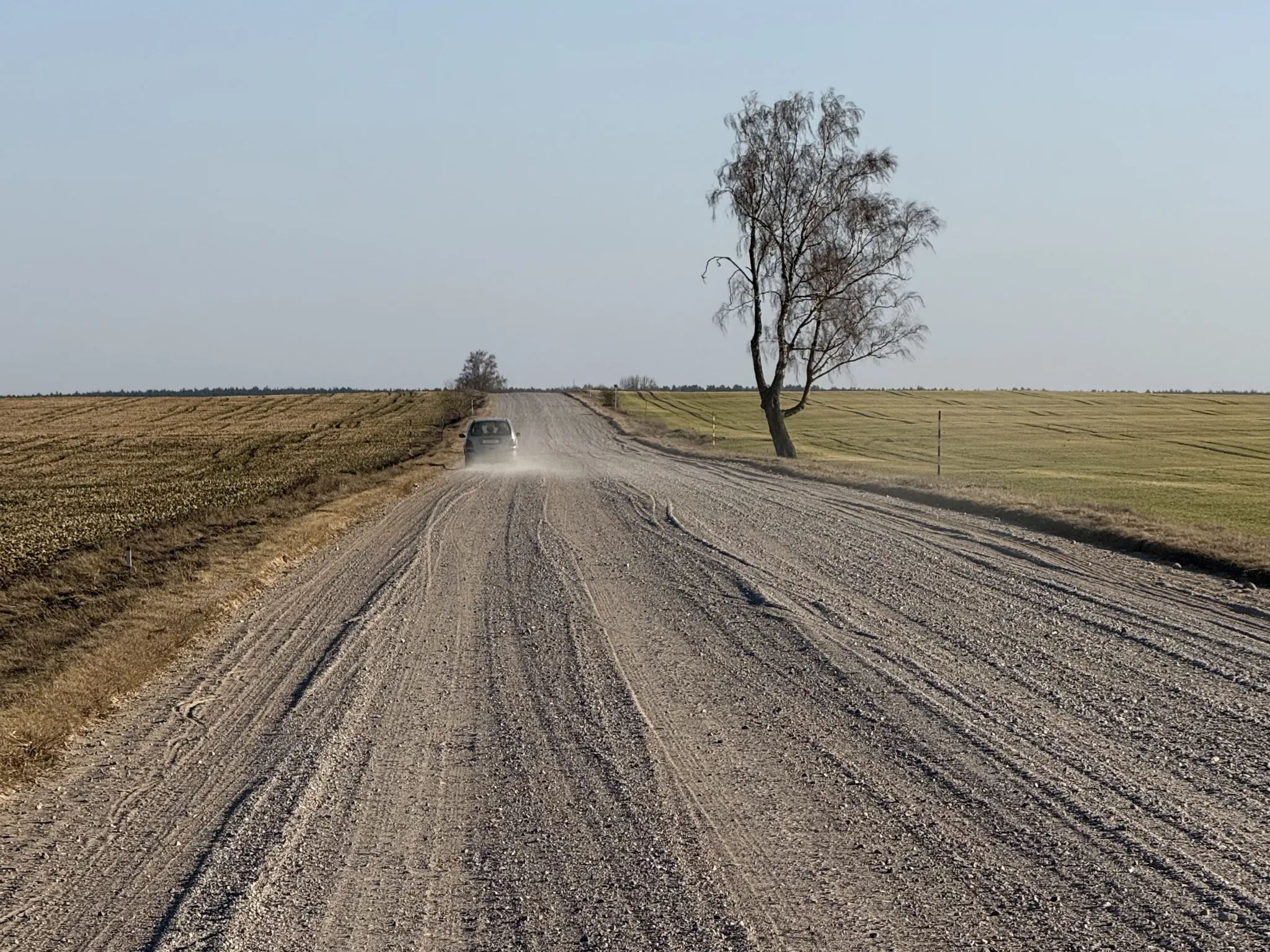 Гравейка с деревом и машиной