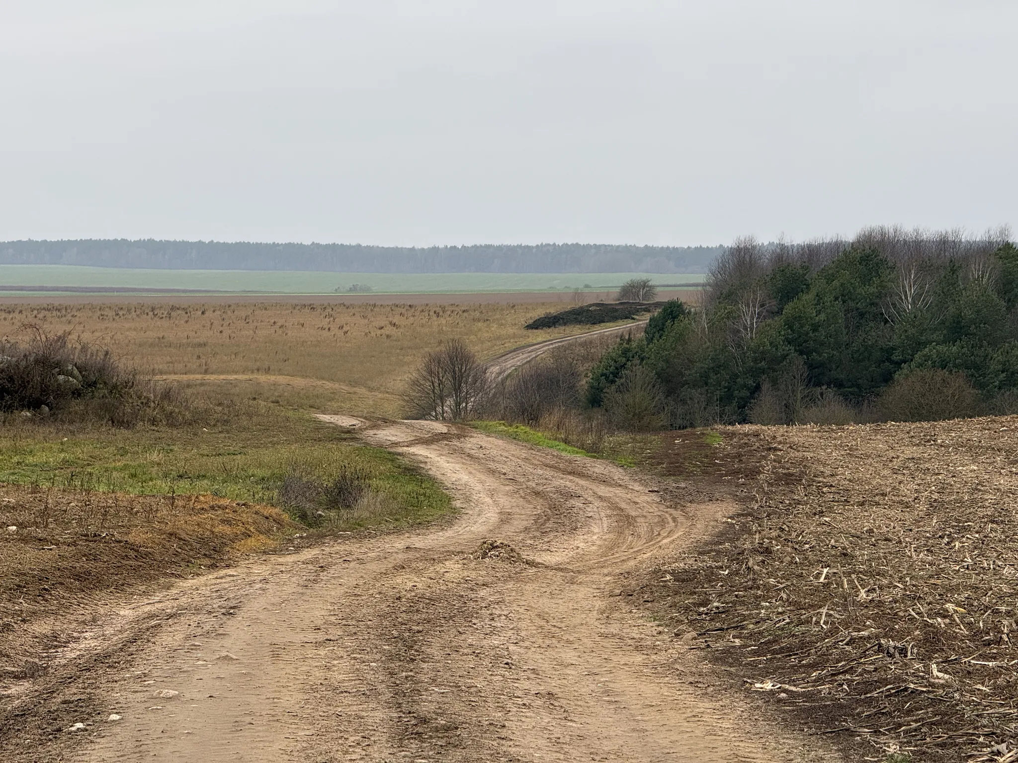 Грунтовые полевые дороги