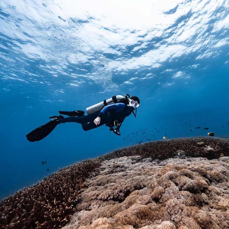 Diver Close-up