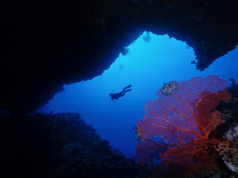 Underwater Photography