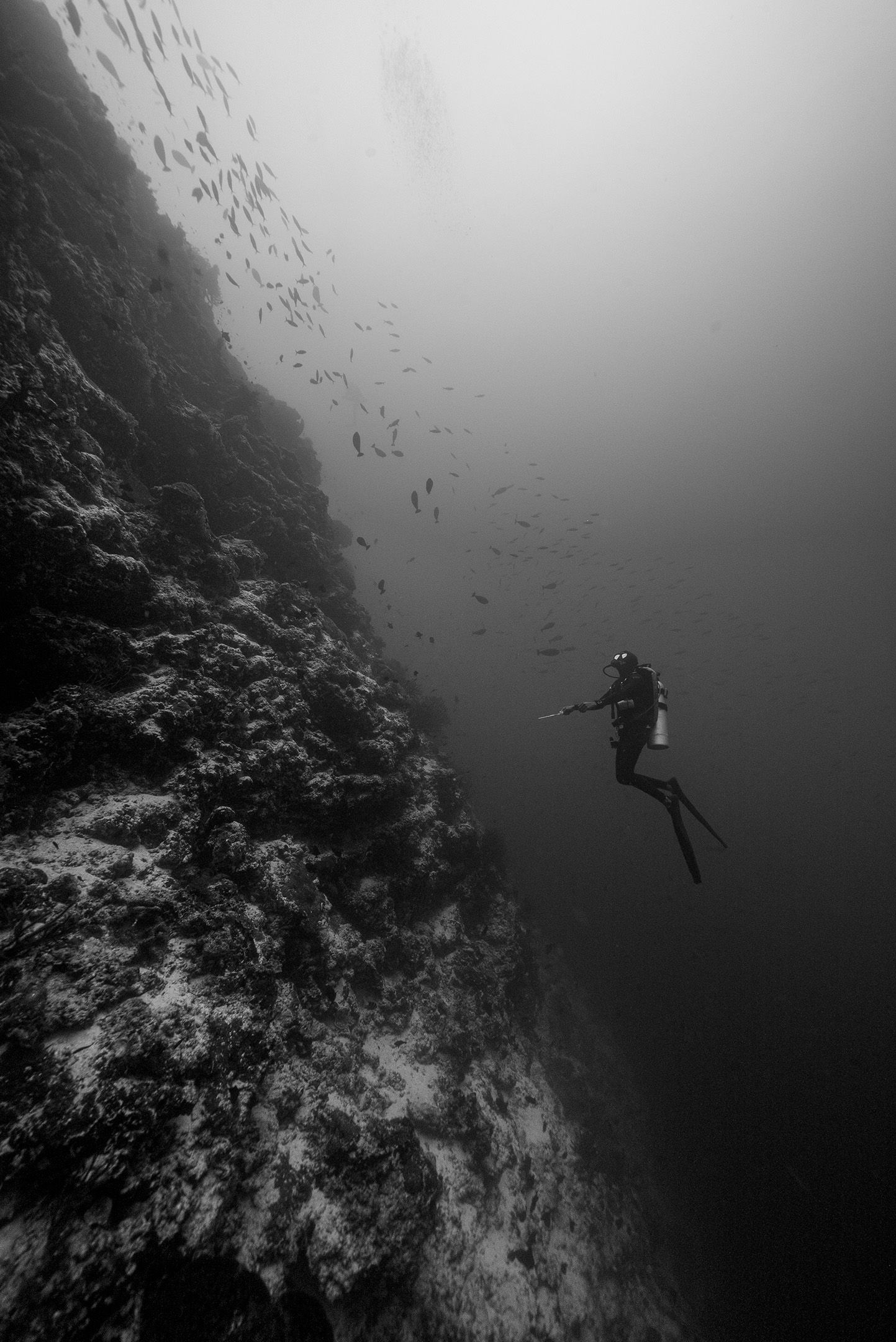 Cooldiving Origin