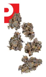 Zoap Quarter