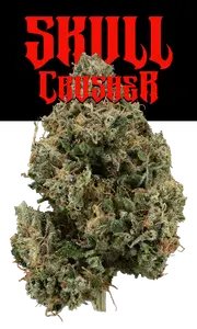 Josh D 3.5g Flower -Skull Crusher #20 (Glass Jar)