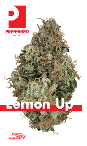 Lemon Up Eighth Glass Jar