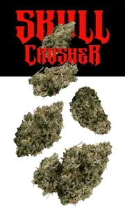 Skull Crusher 7g Juniors