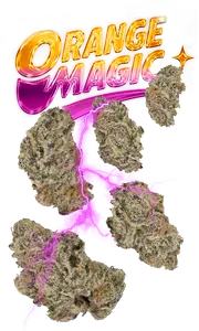 Orange Magic Quarter